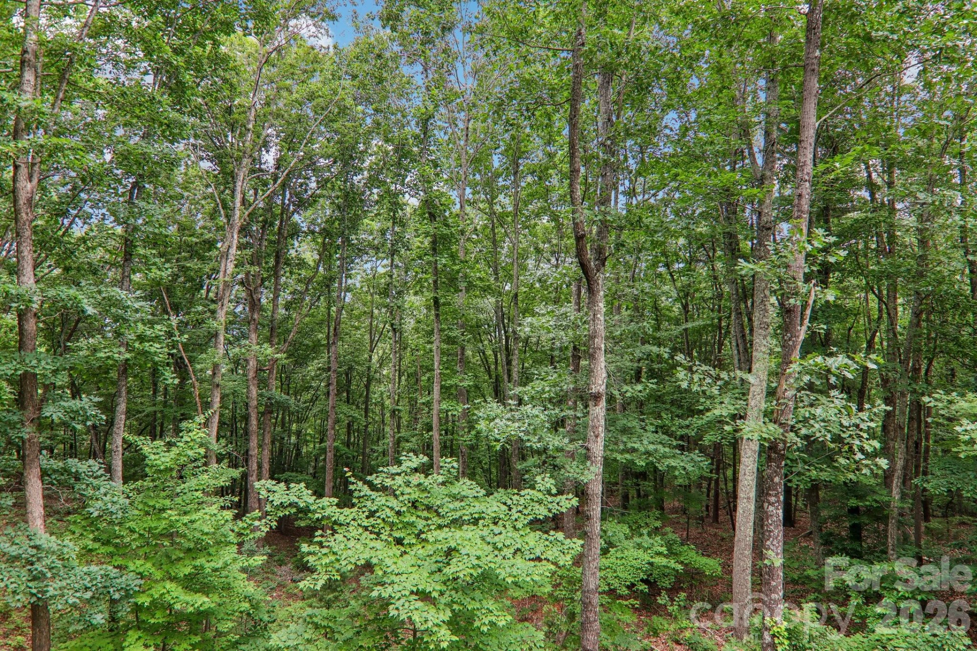 49 Wilderness Trail - Photo 39
