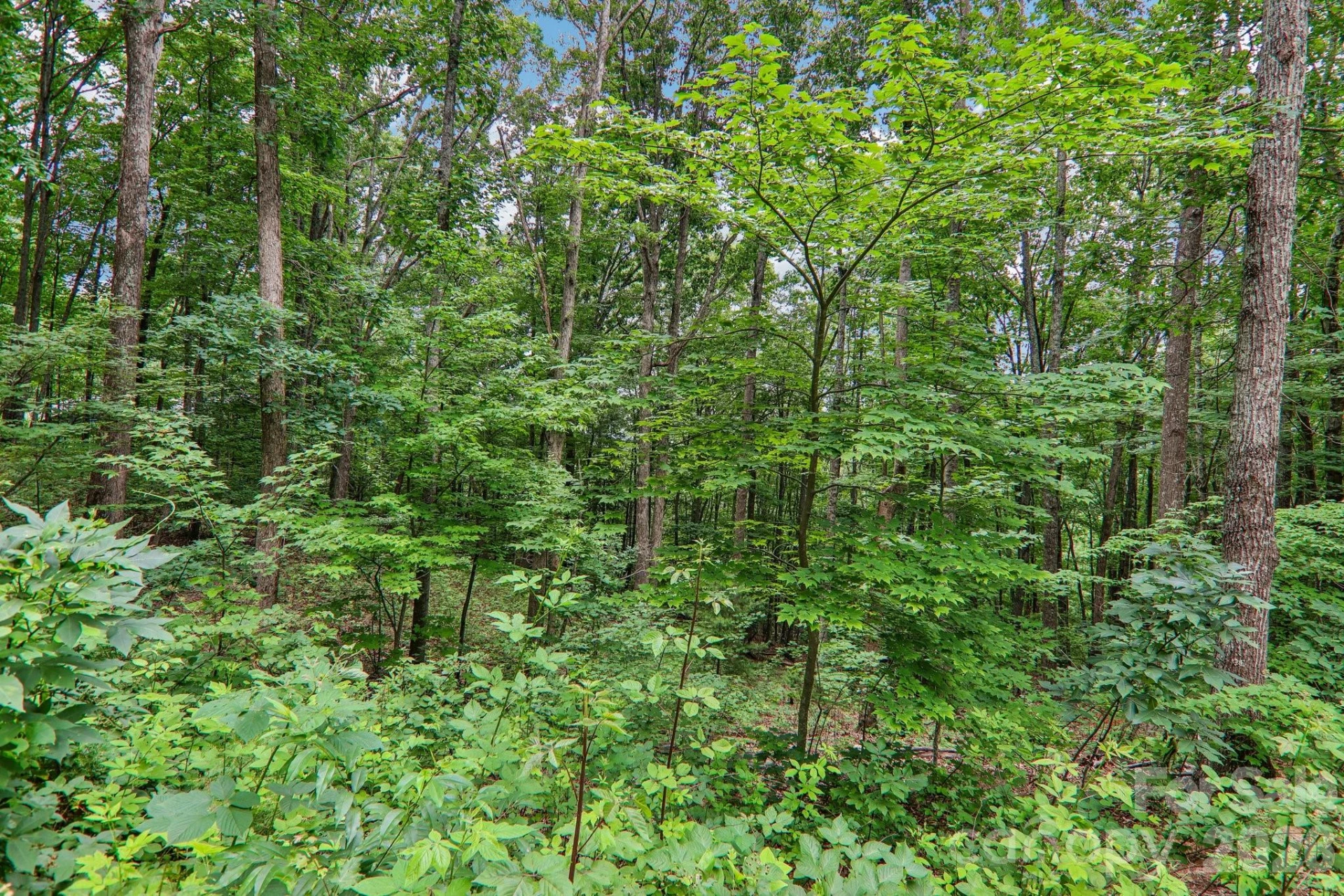 49 Wilderness Trail - Photo 41