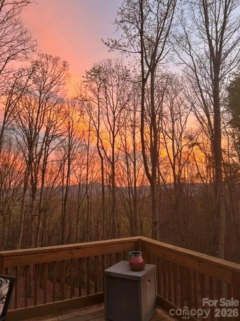 49 Wilderness Trail - Photo 45