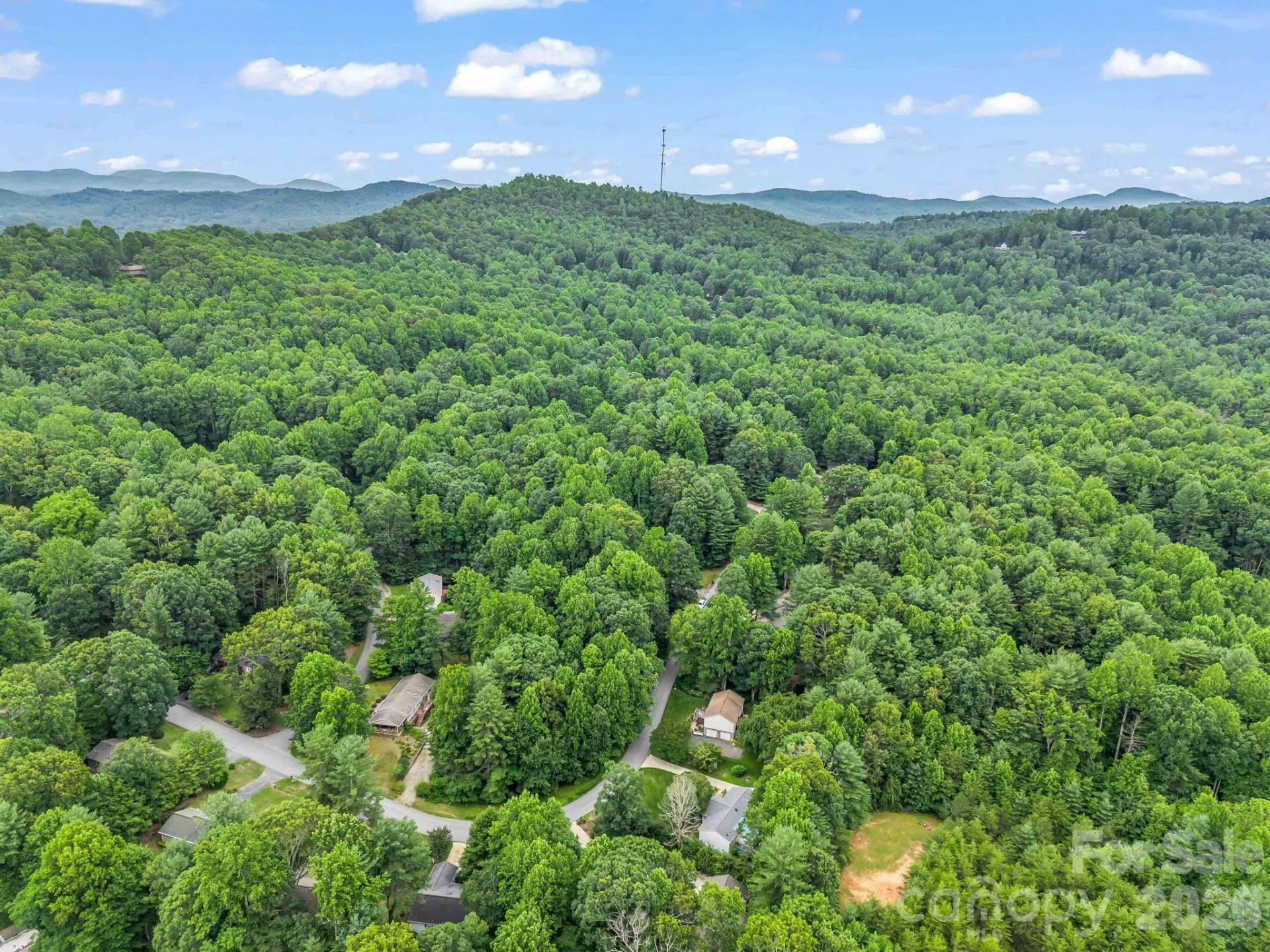 115 Cinnamon Way - Photo 20