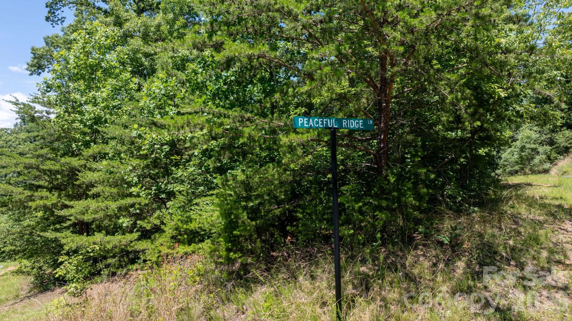108 Mountain Brook Trail - Photo 13