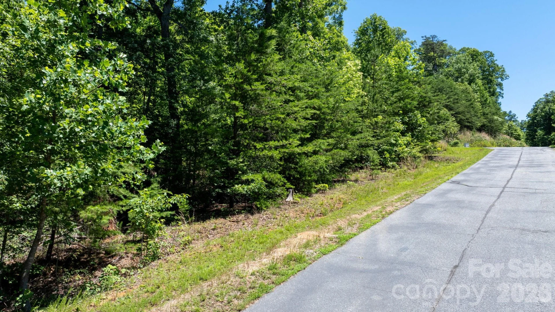 108 Mountain Brook Trail - Photo 14
