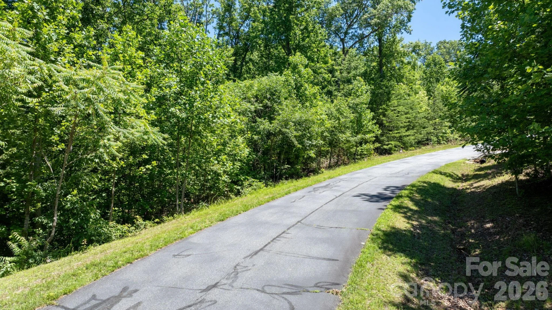 108 Mountain Brook Trail - Photo 15