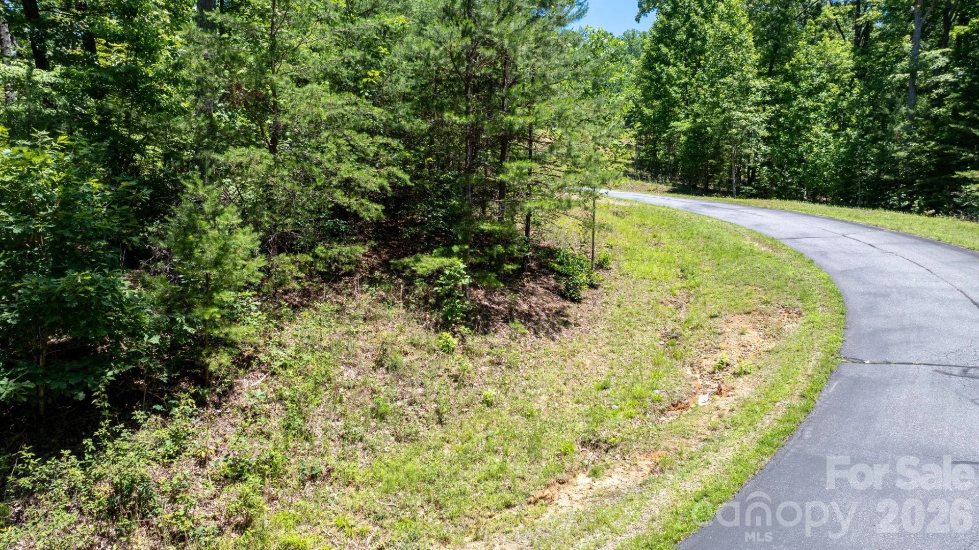 108 Mountain Brook Trail - Photo 16