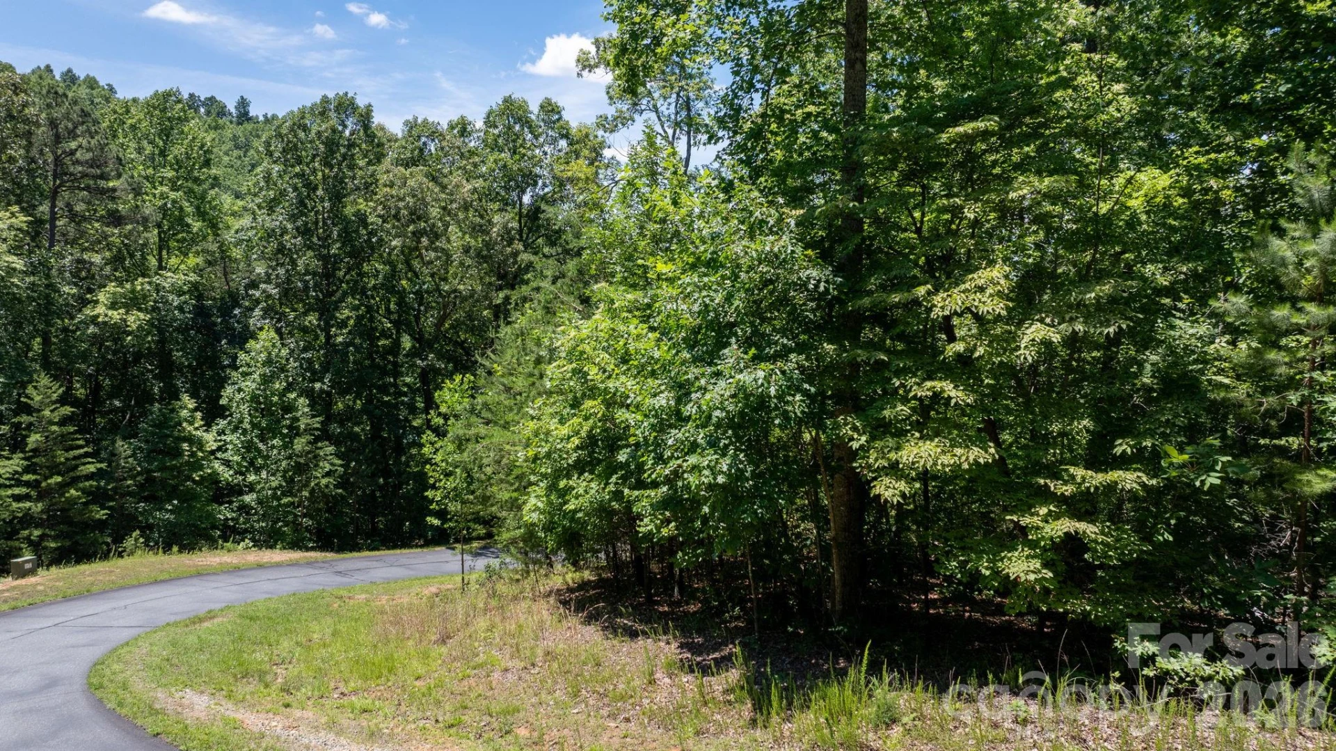 108 Mountain Brook Trail - Photo 17