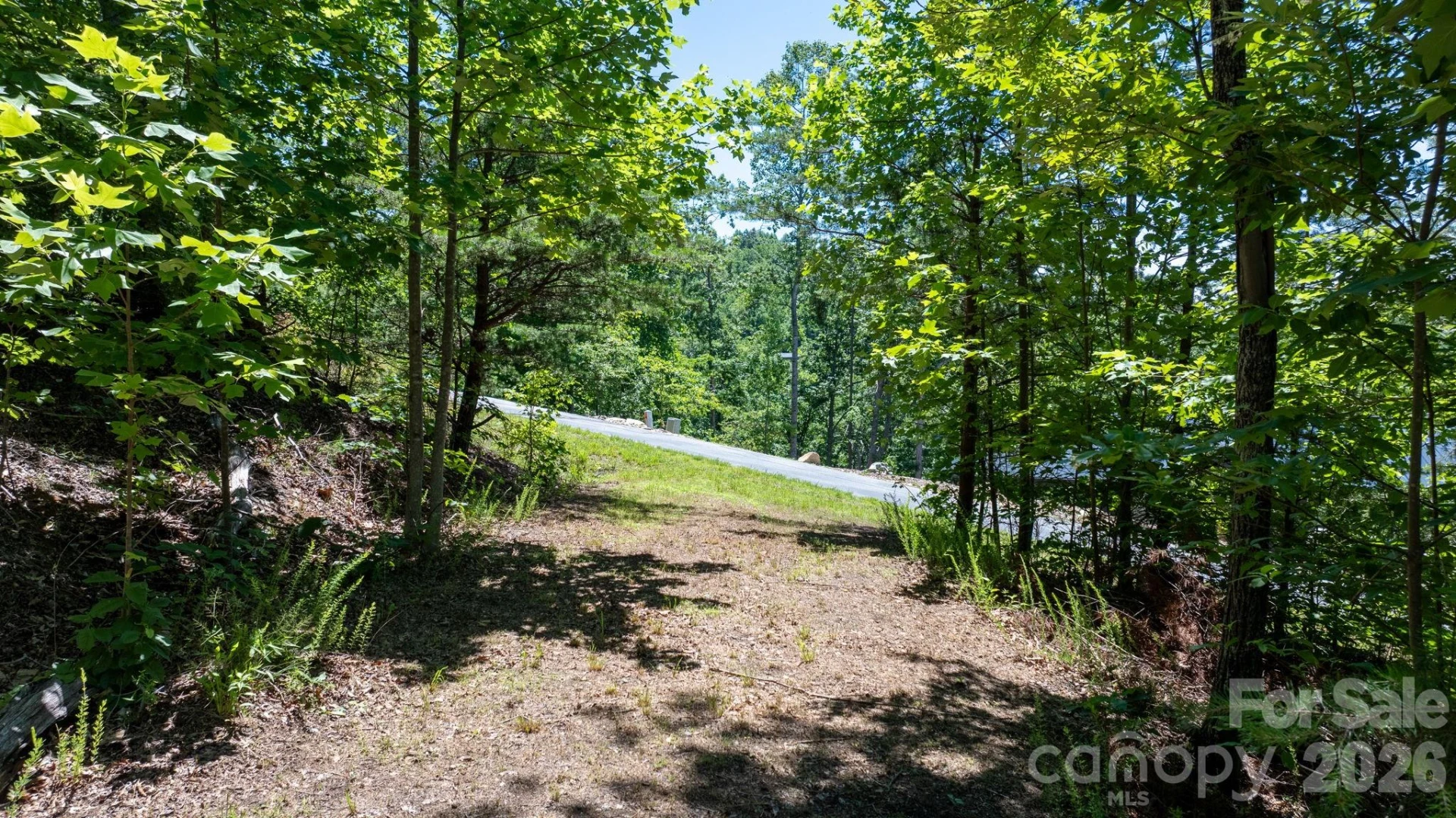 108 Mountain Brook Trail - Photo 3