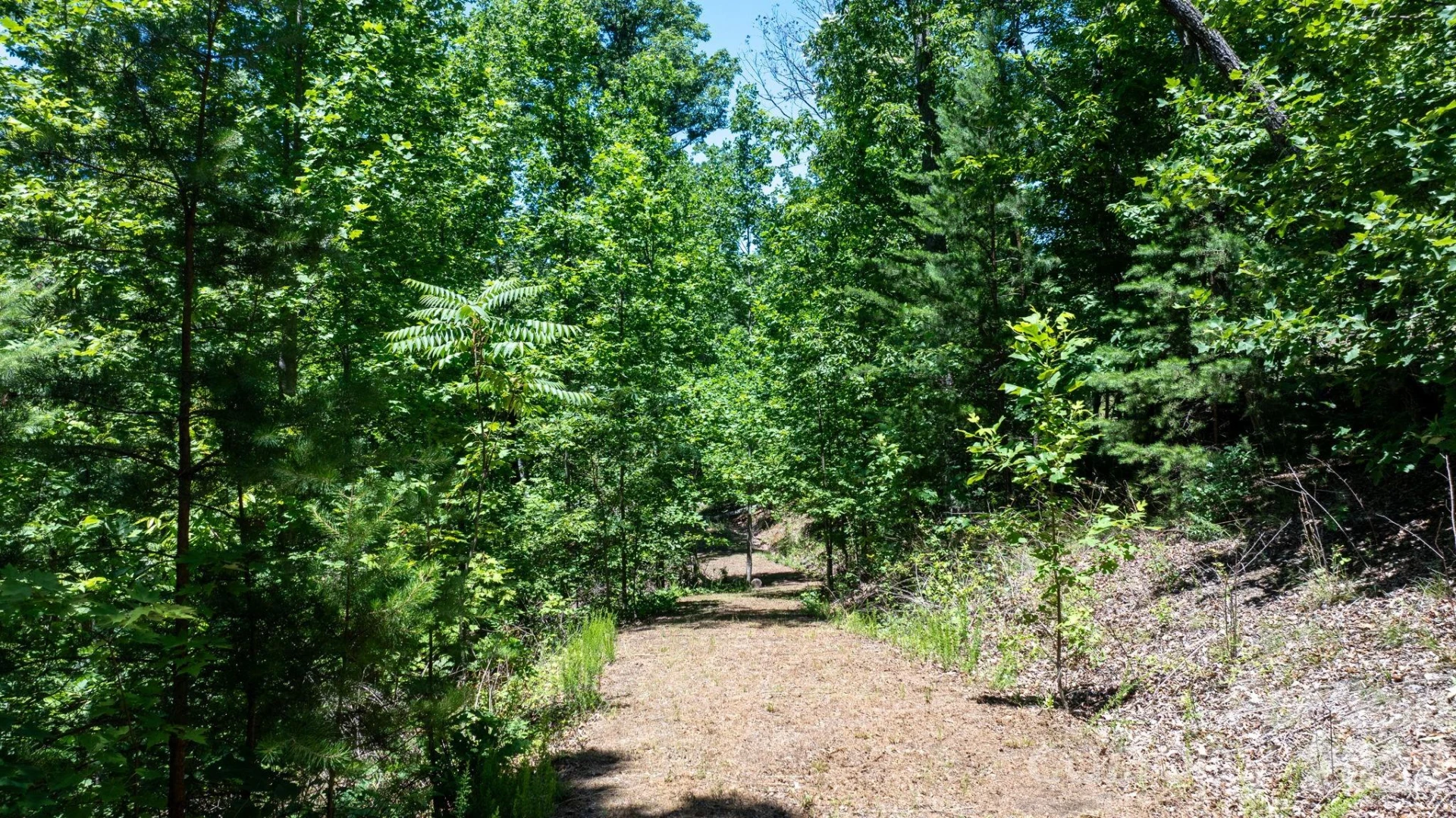 108 Mountain Brook Trail - Photo 4