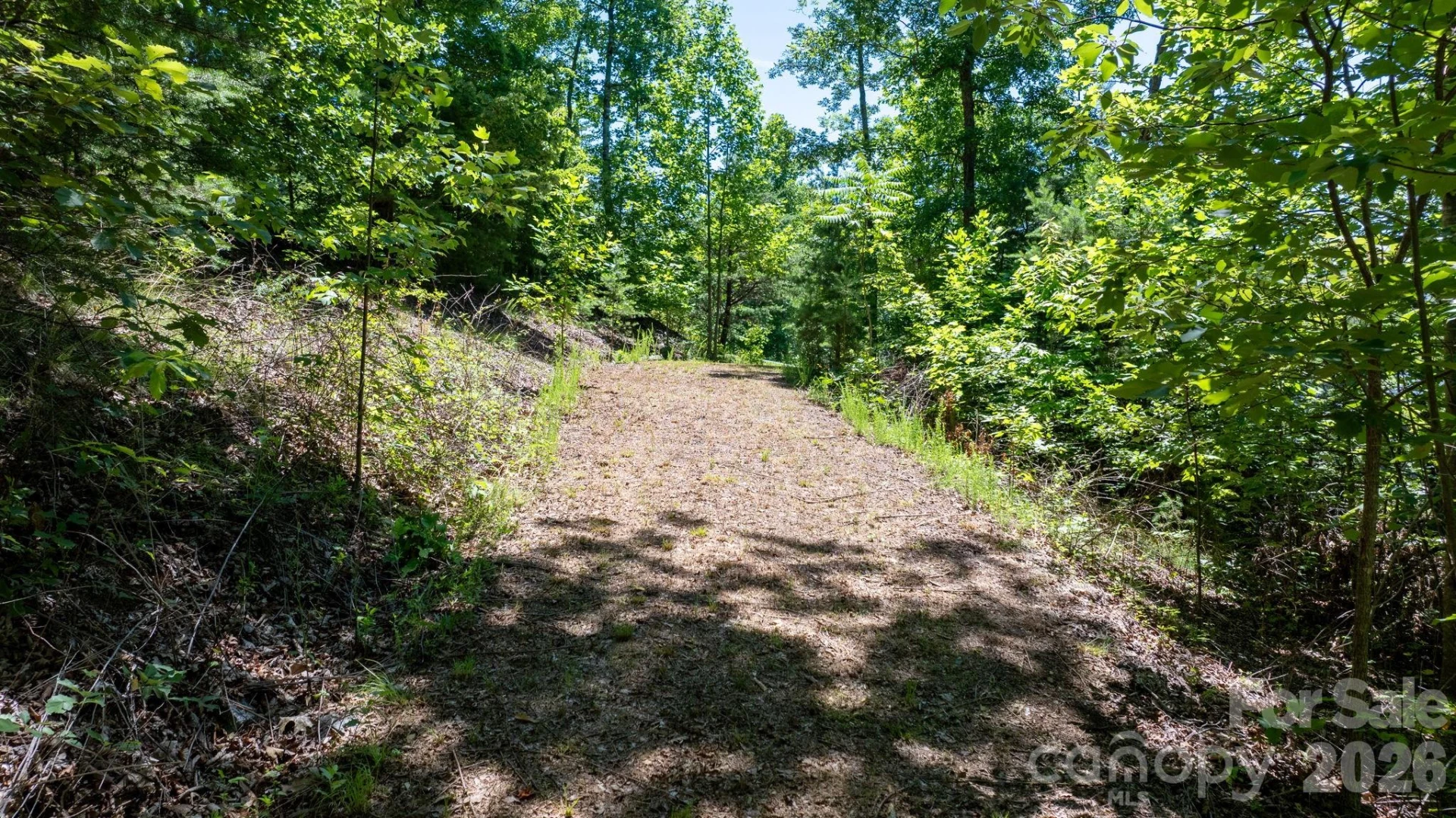 108 Mountain Brook Trail - Photo 5