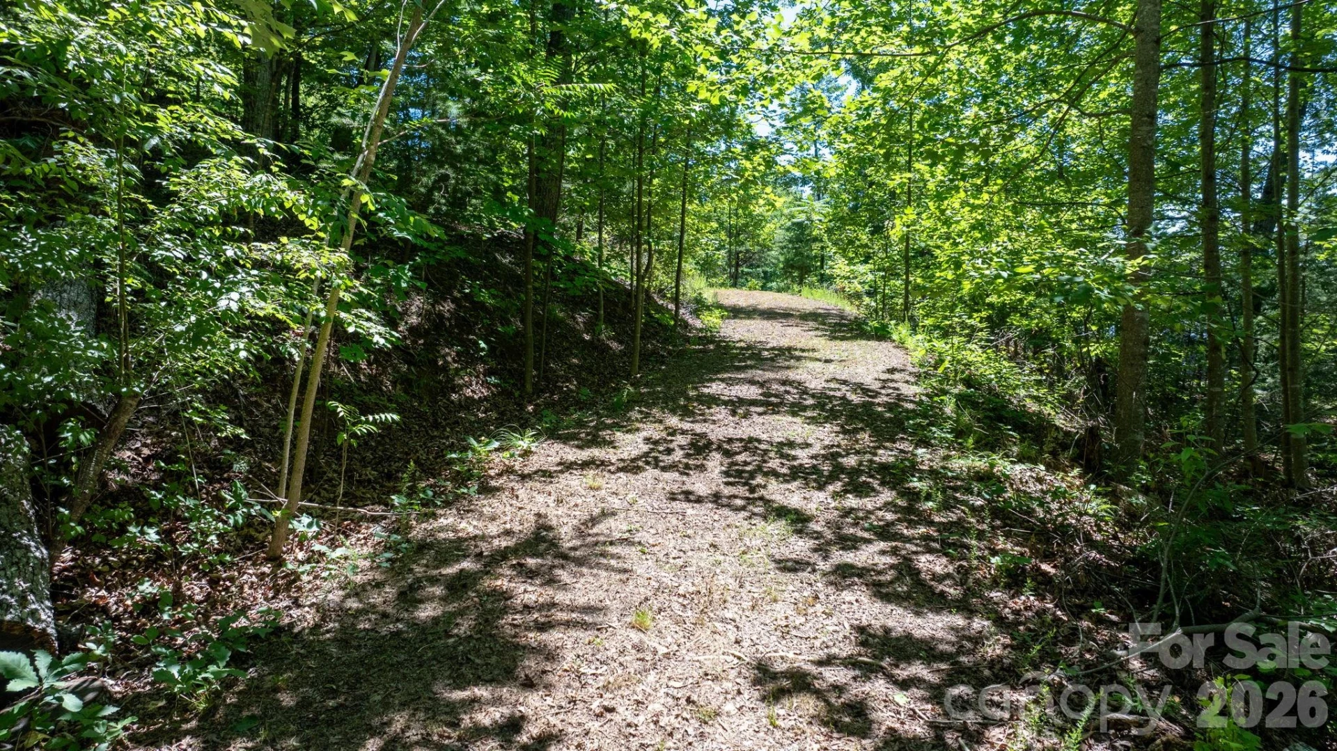 108 Mountain Brook Trail - Photo 6