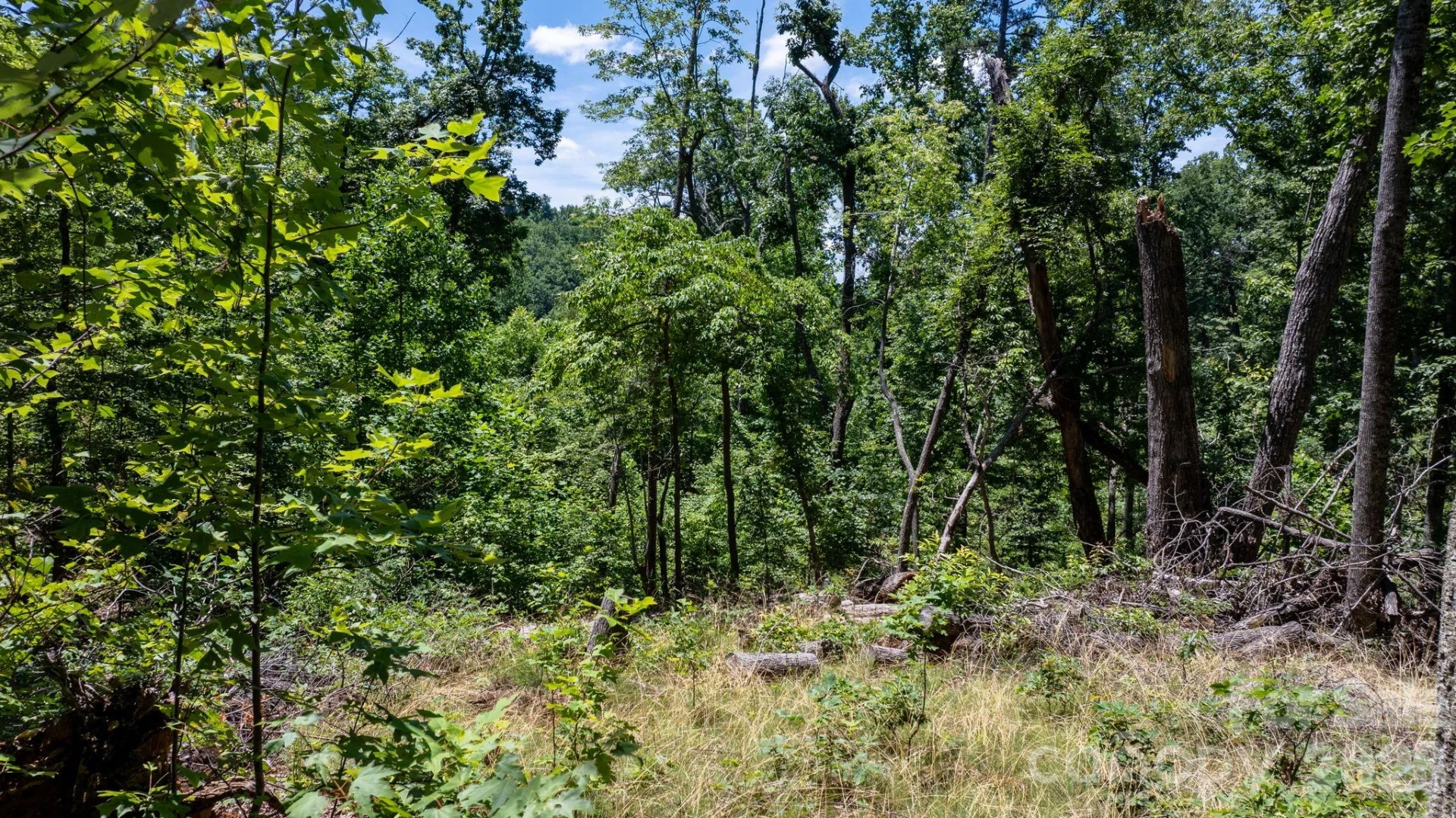 108 Mountain Brook Trail - Photo 7