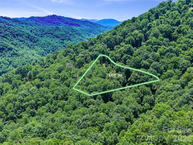 9999 Lovebird Lane, Candler, NC, 28715