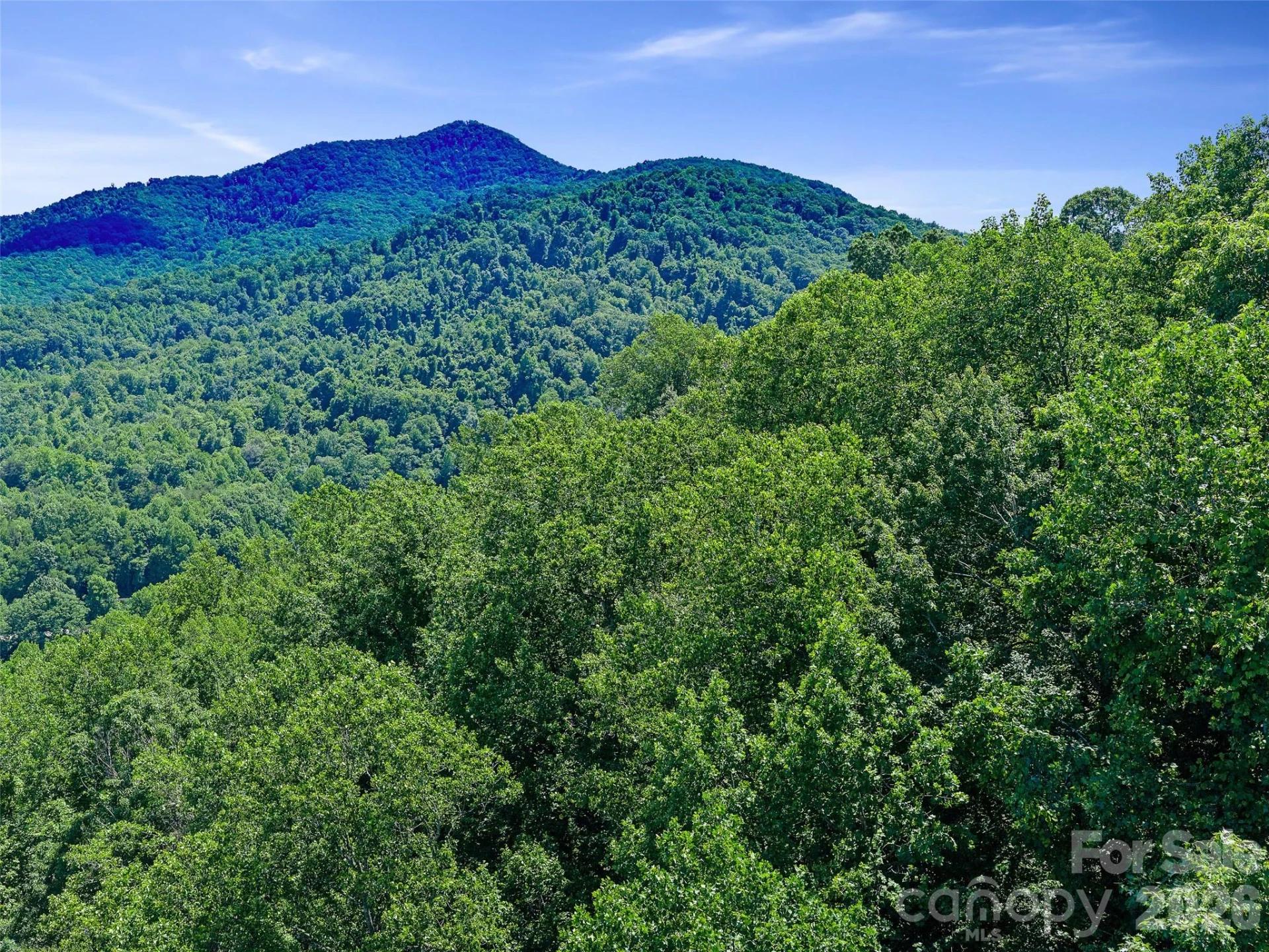 9999 Lovebird Lane #20 - Photo 28