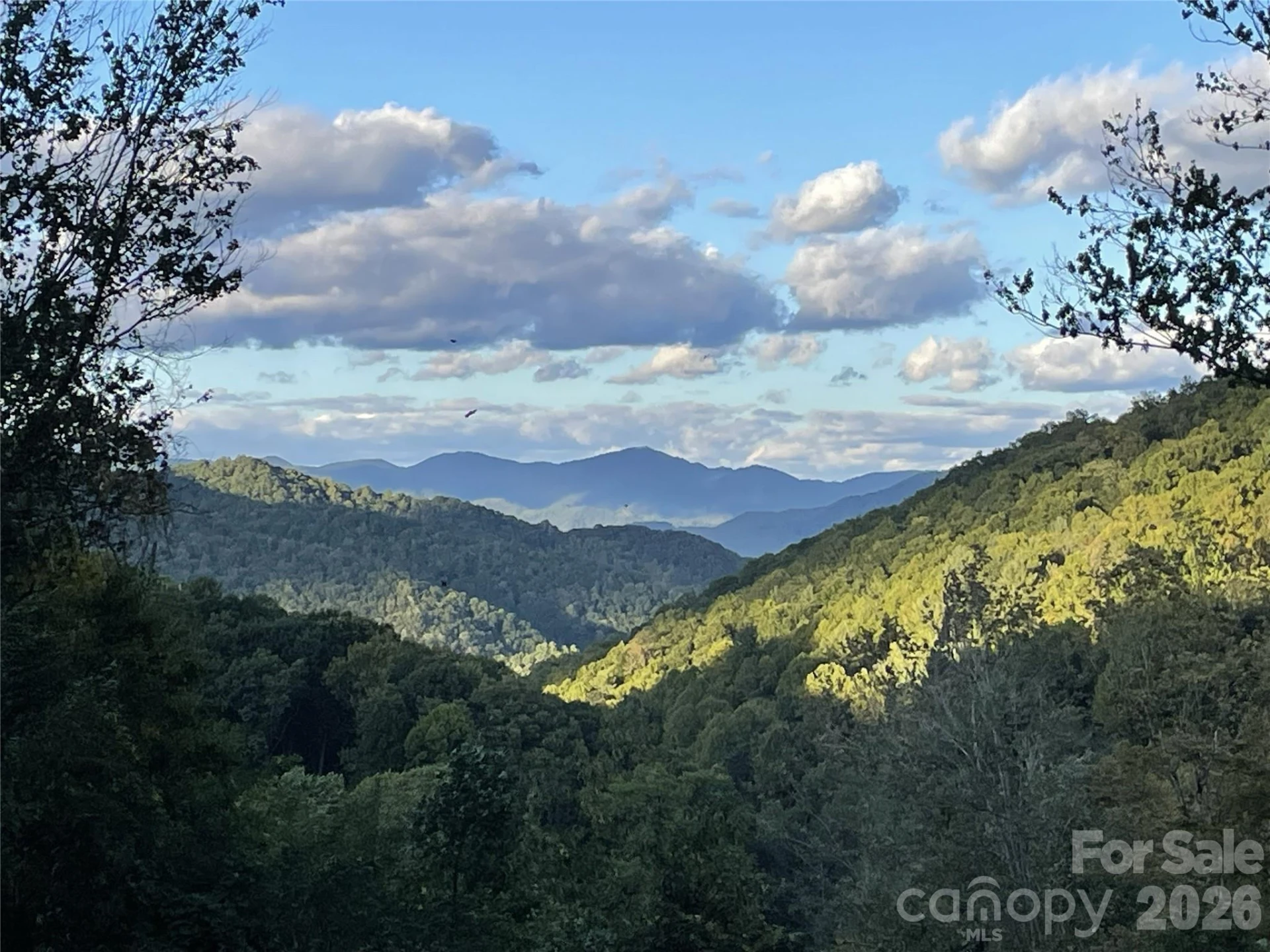 570 Rugged Top Road - Photo 38