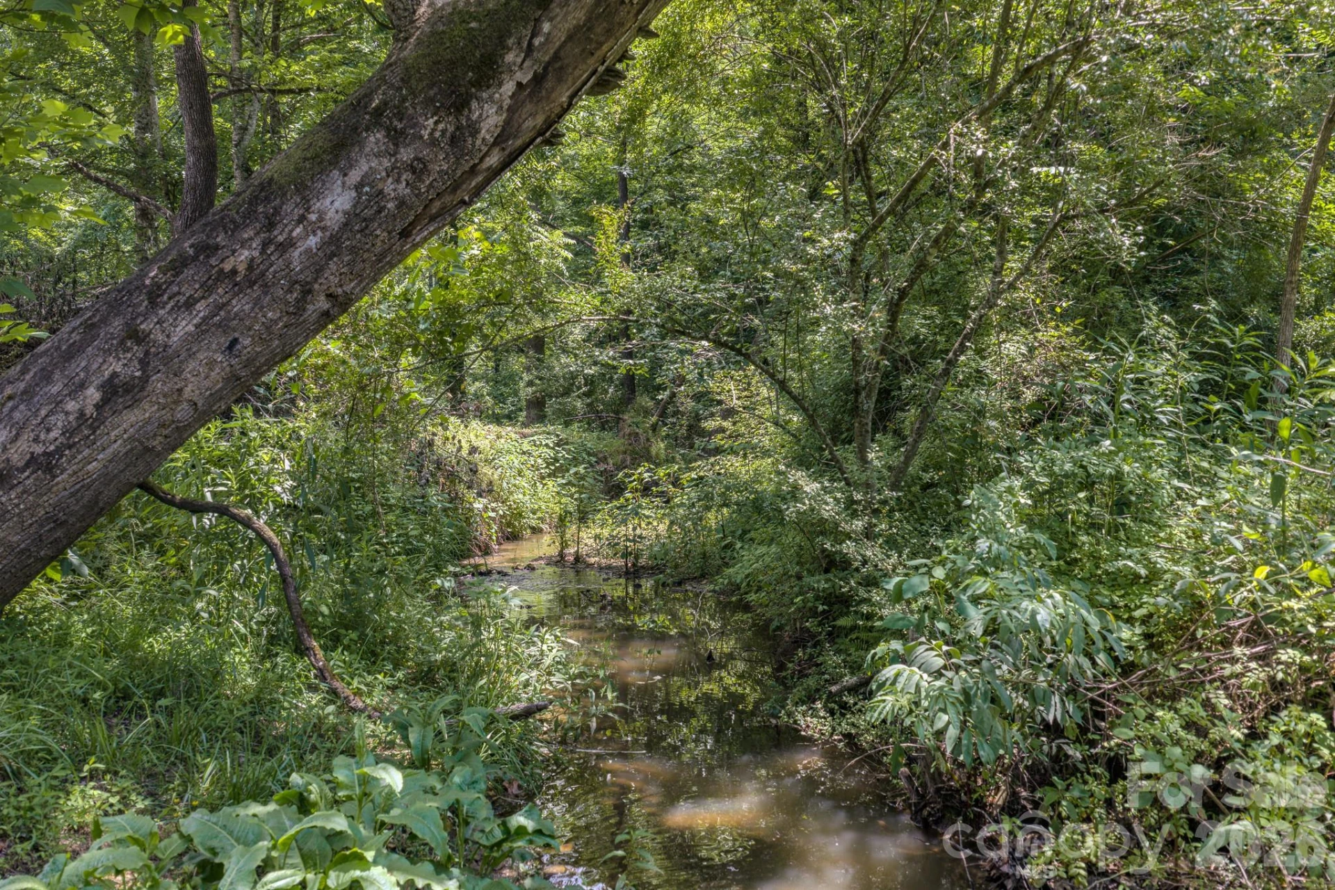 287 Robertson Drive - Photo 46