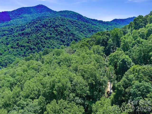 9999 Lovebird Lane, Candler, NC, 28715
