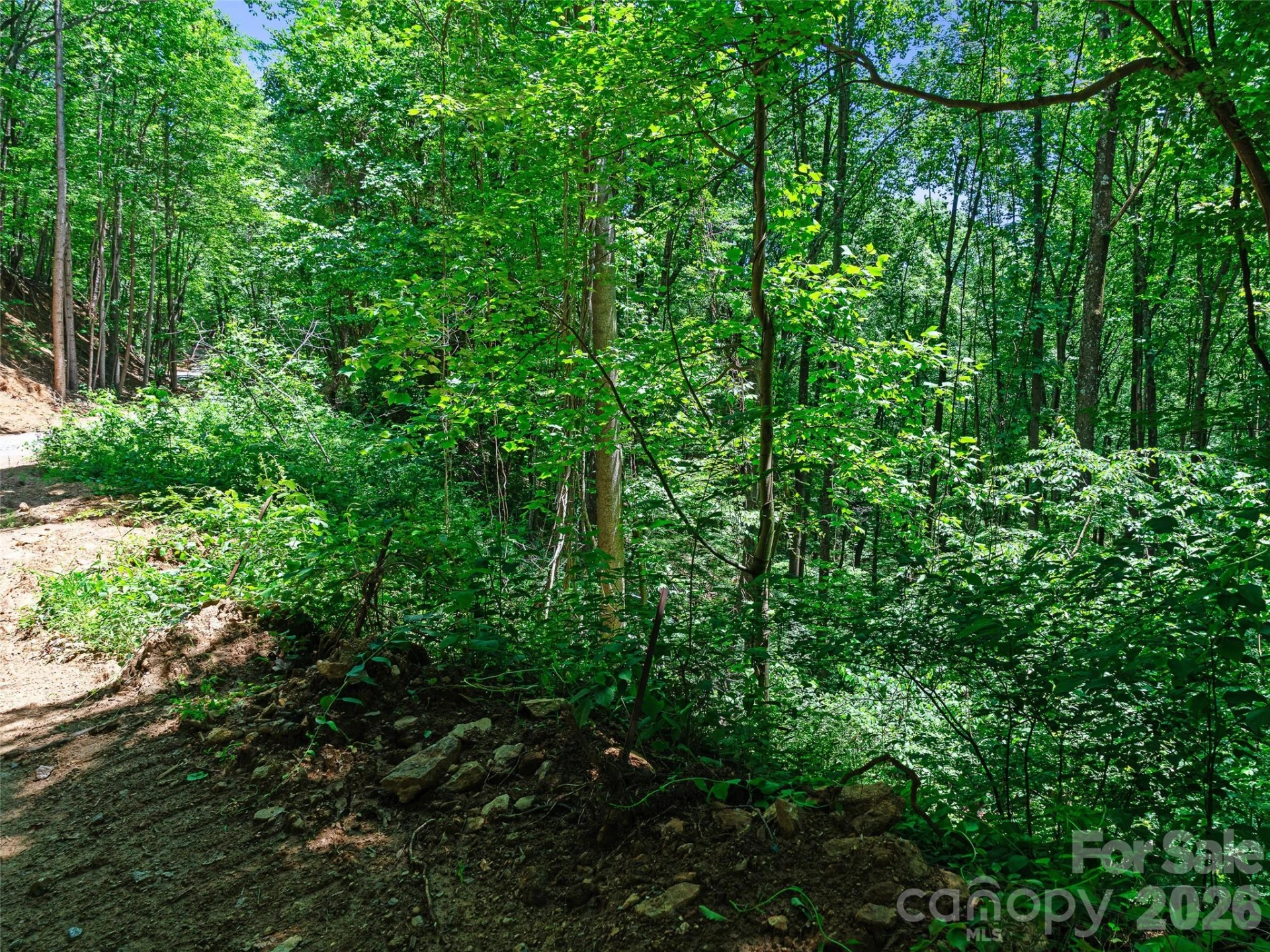 9999 Lovebird Lane #23 - Photo 10
