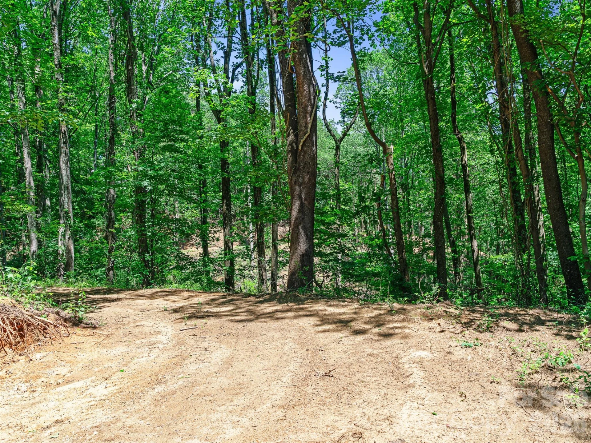 9999 Lovebird Lane #23 - Photo 15