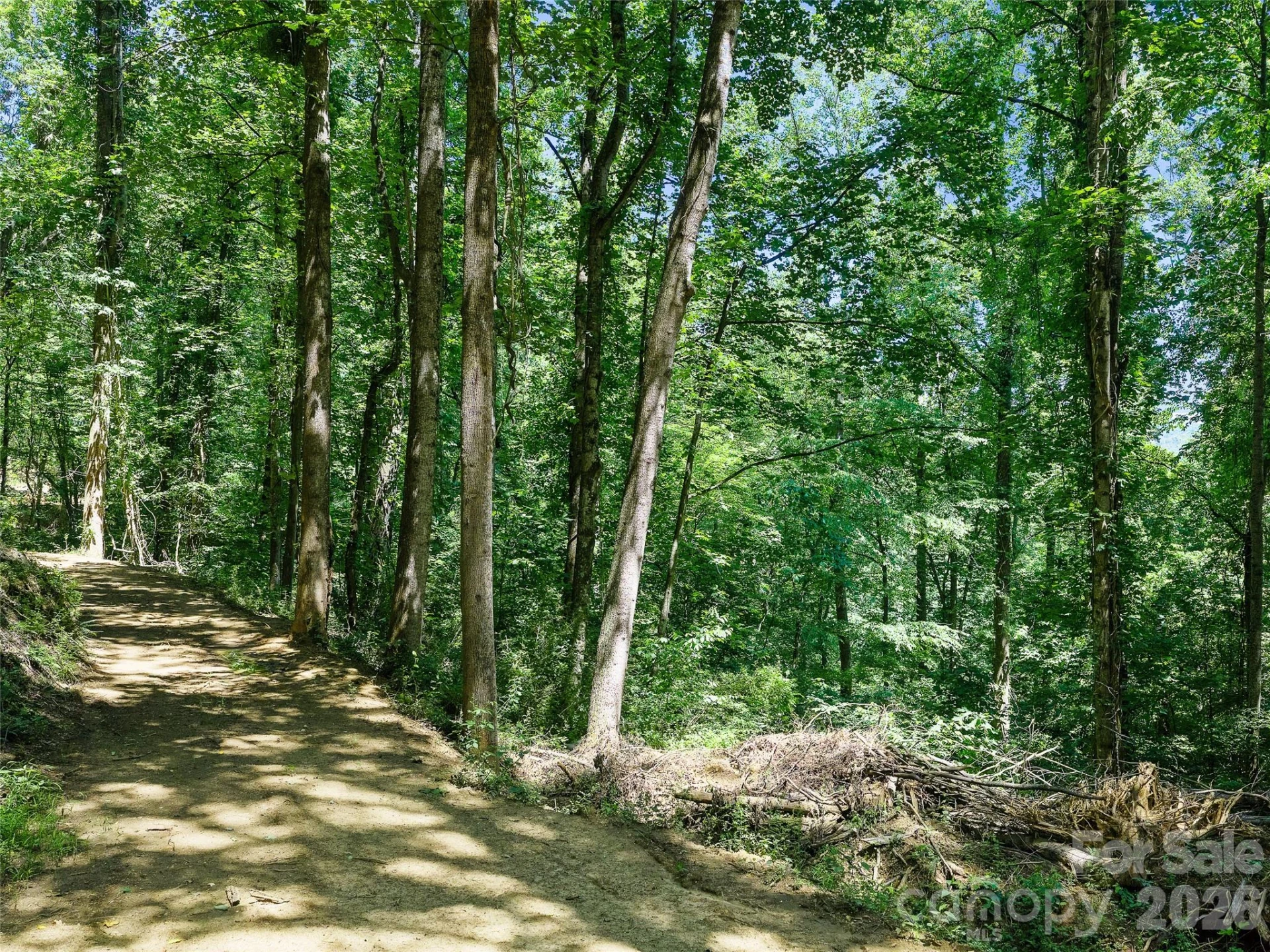 9999 Lovebird Lane #23 - Photo 31