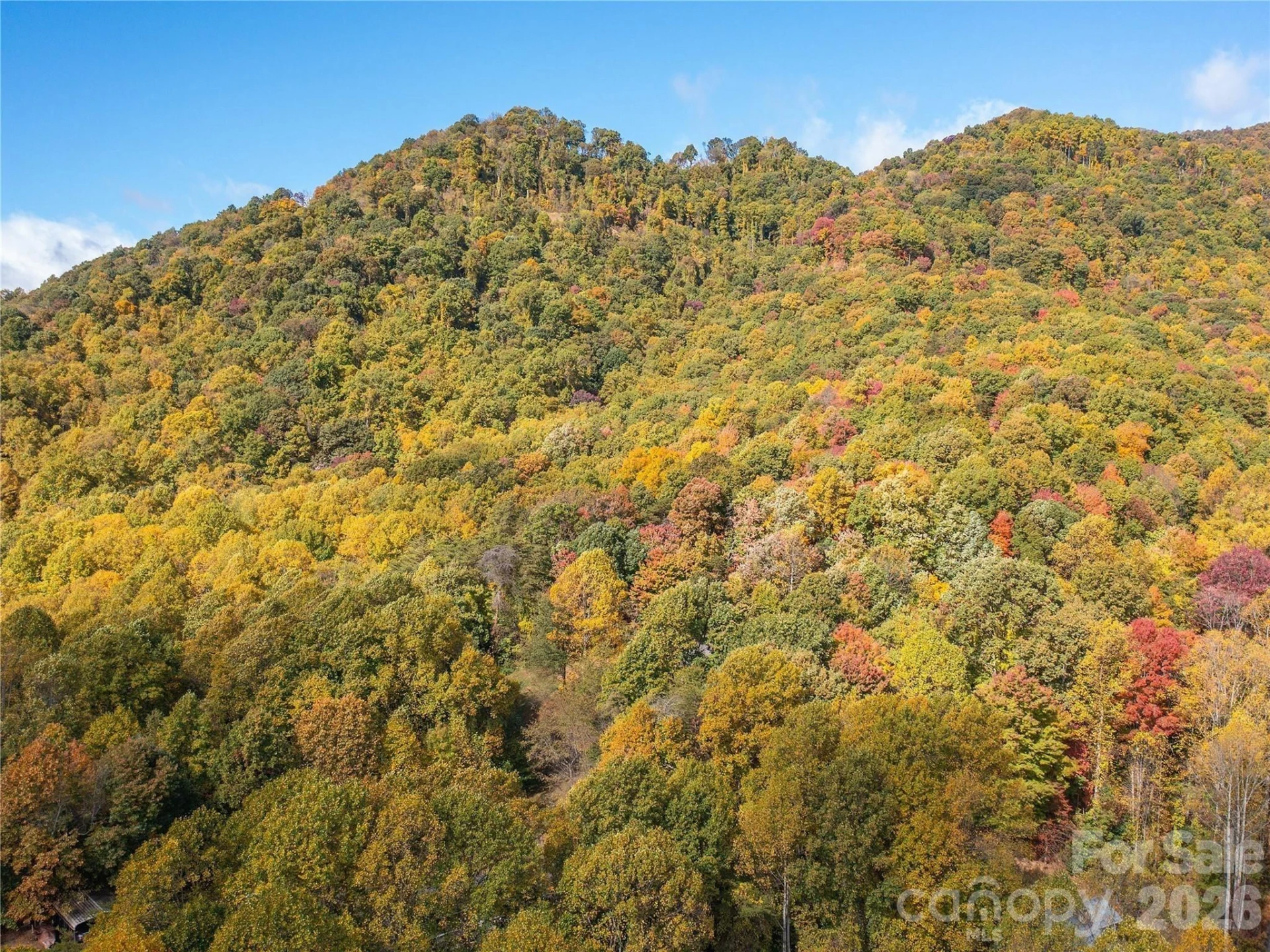 9999 Lovebird Lane #23 - Photo 35