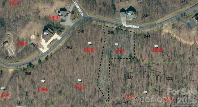 V/L Scenic Vista Drive, Nebo, NC, 28761