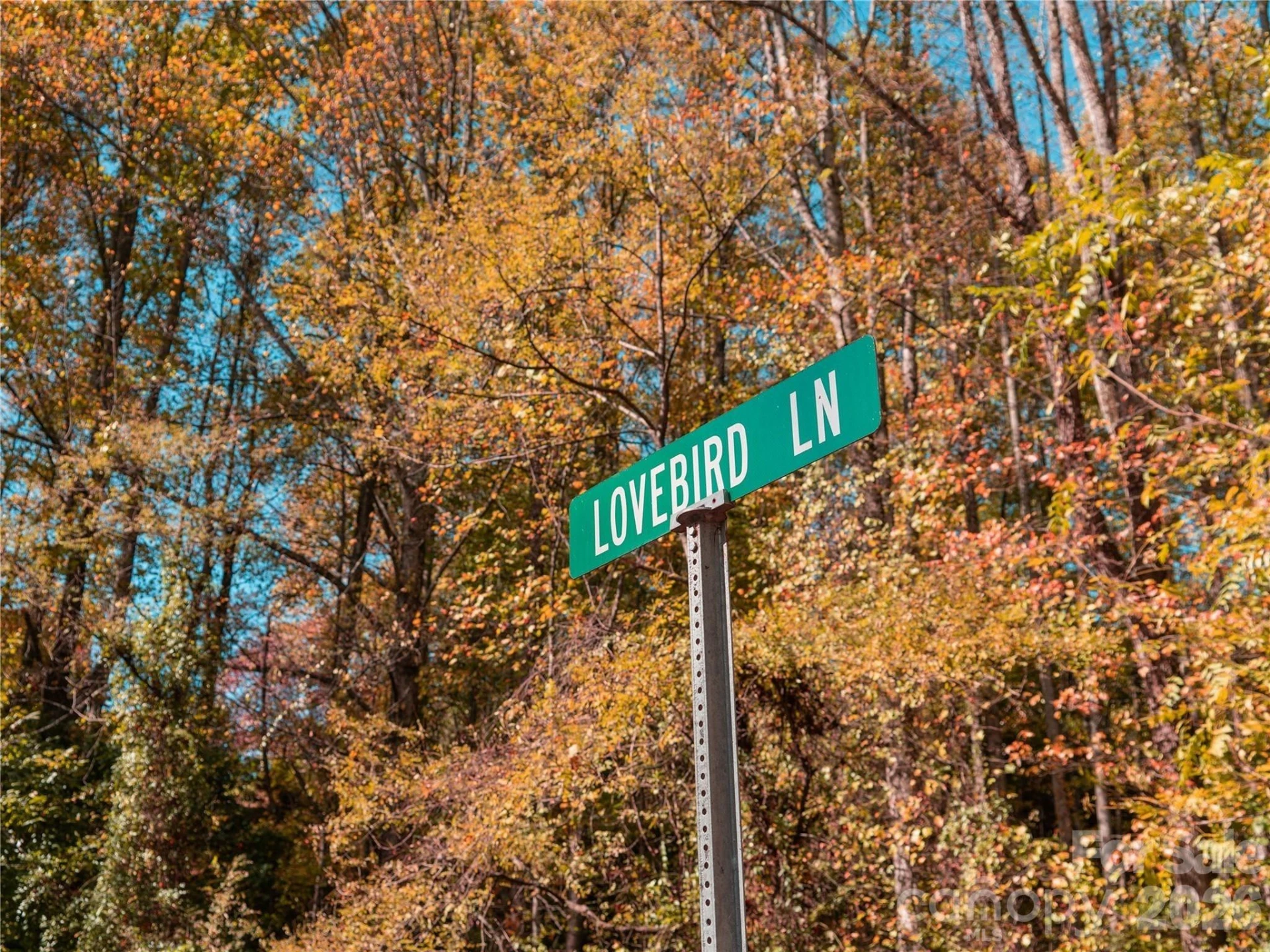 9999 Lovebird Lane #17 - Photo 31