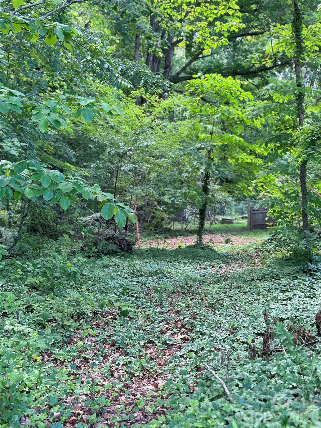 25 Oak Hill Drive #1 - Photo 5
