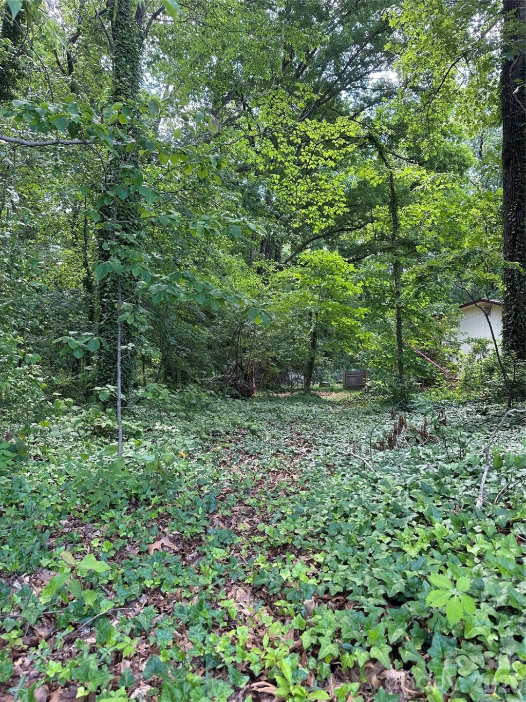 25 Oak Hill Drive #1 - Photo 6