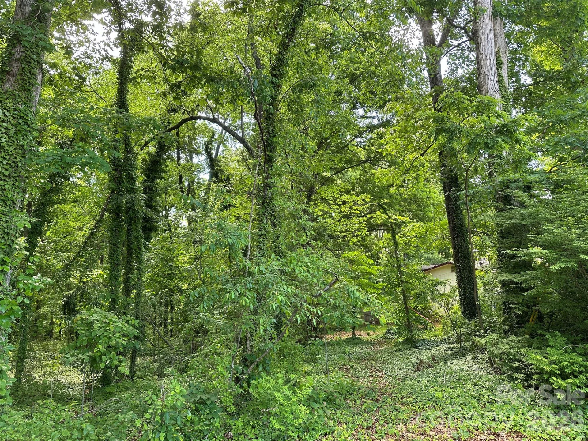 25 Oak Hill Drive #1 - Photo 7