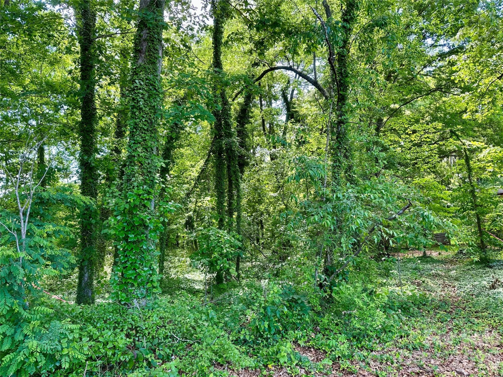 25 Oak Hill Drive #1 - Photo 8