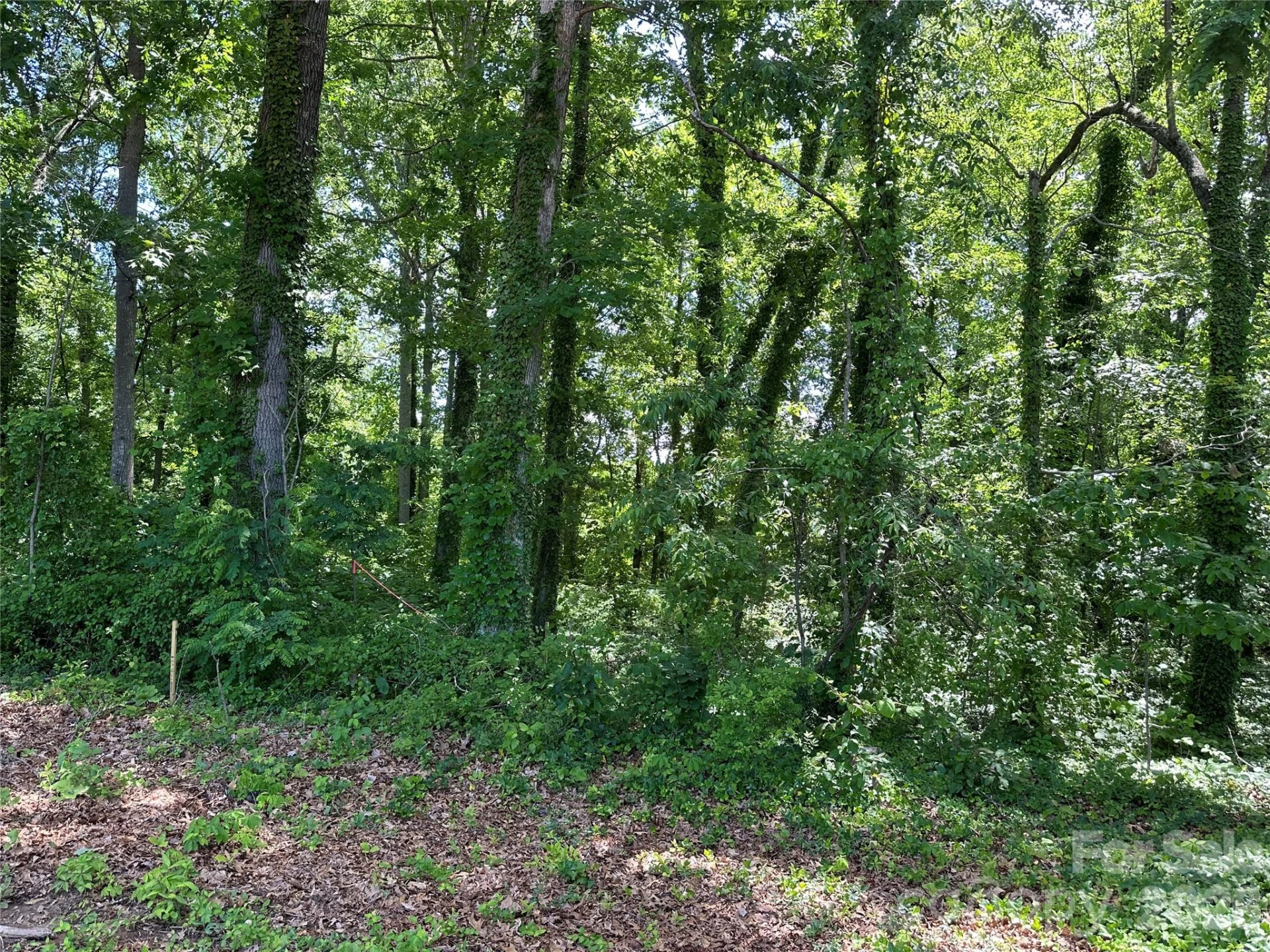 25 Oak Hill Drive #1 - Photo 9