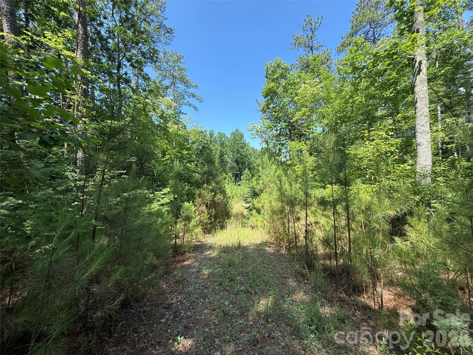 206 Corry Lane
