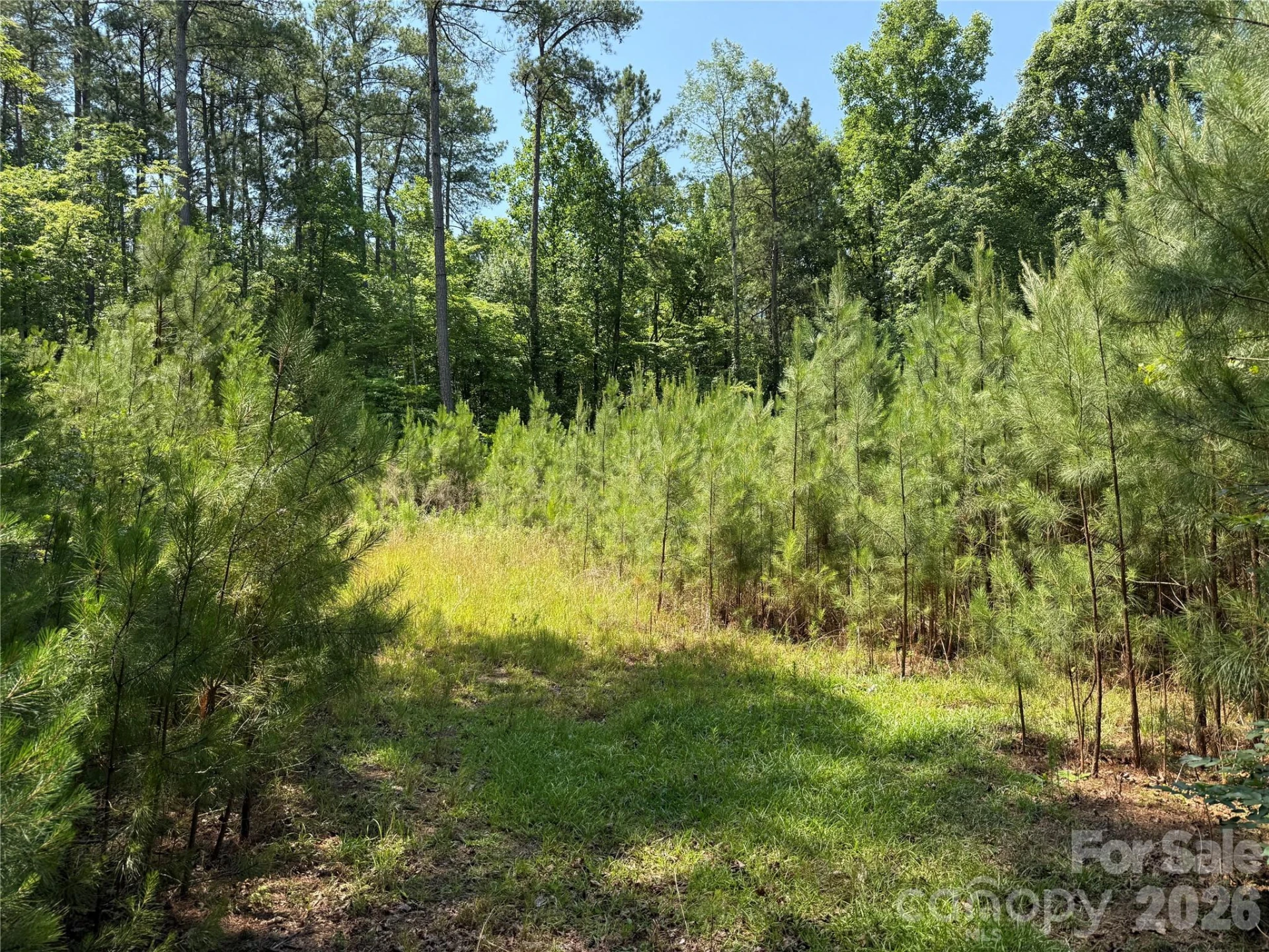 206 Corry Lane - Photo 2