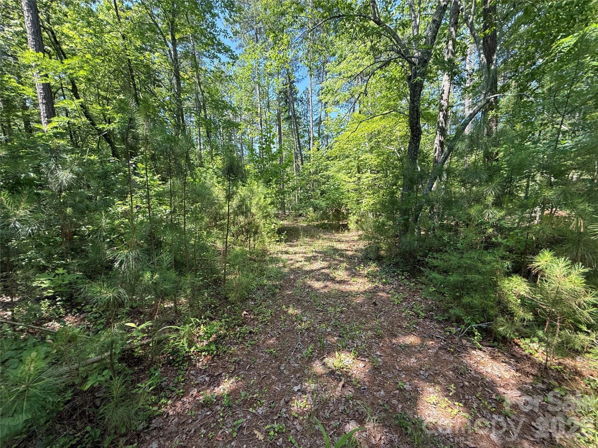 206 Corry Lane - Photo 11