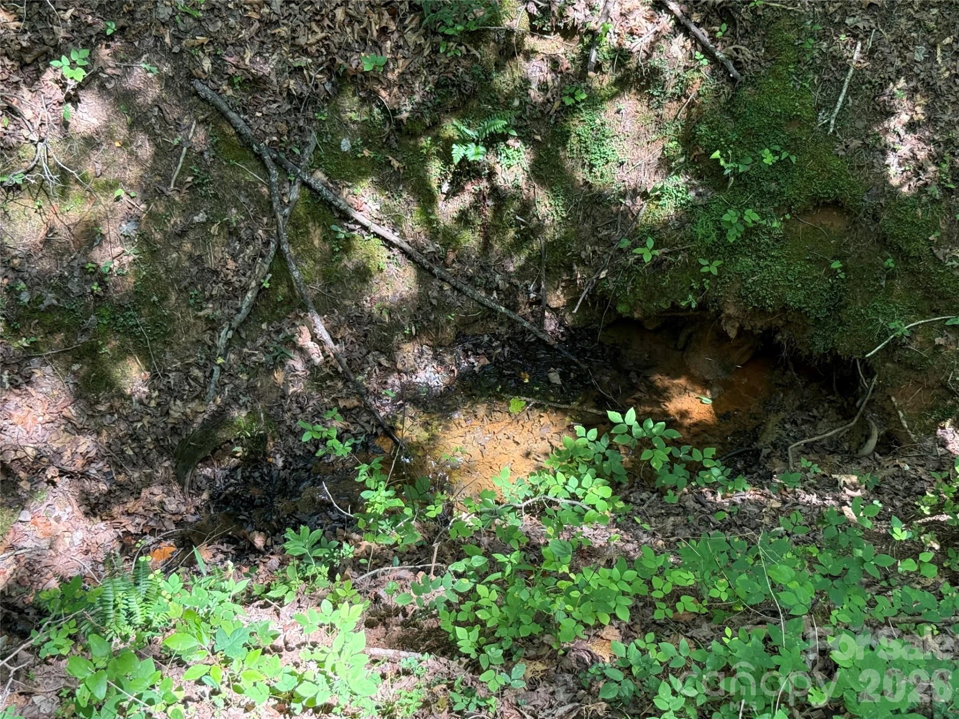 206 Corry Lane - Photo 4