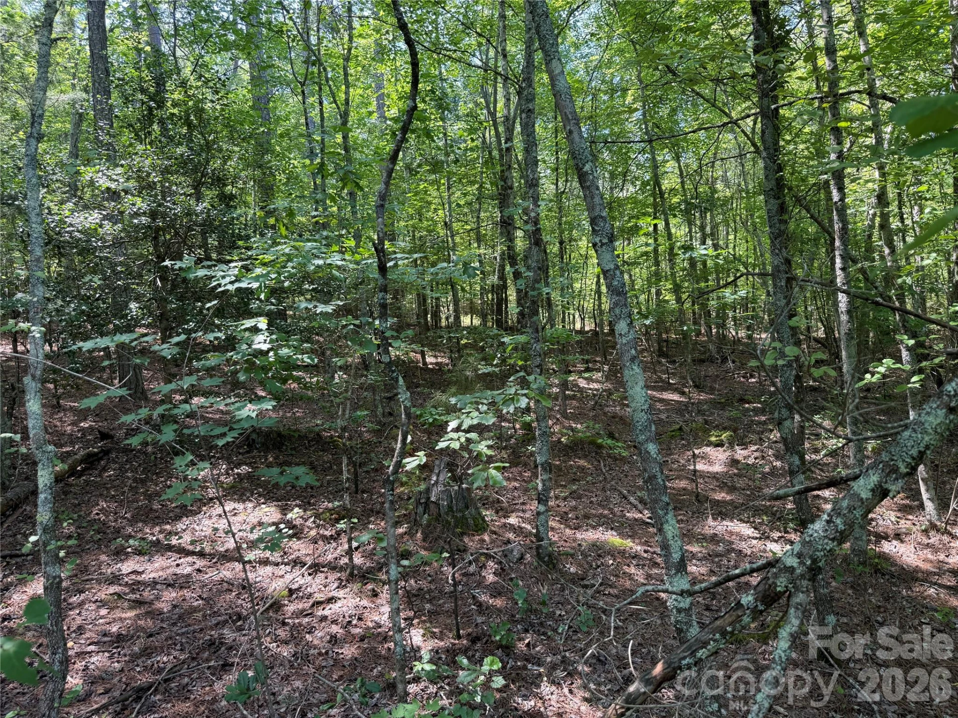 206 Corry Lane - Photo 7