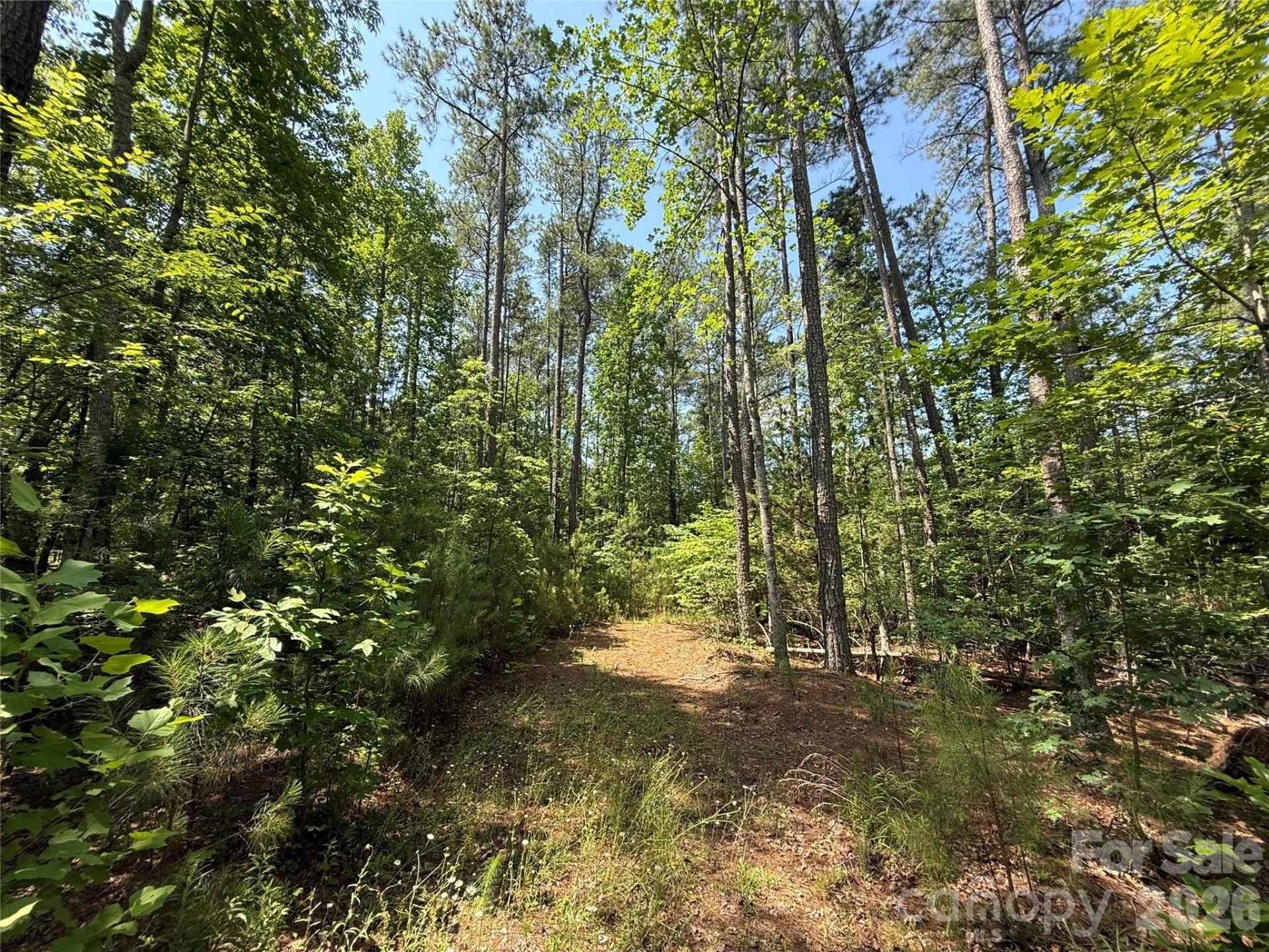 206 Corry Lane - Photo 8
