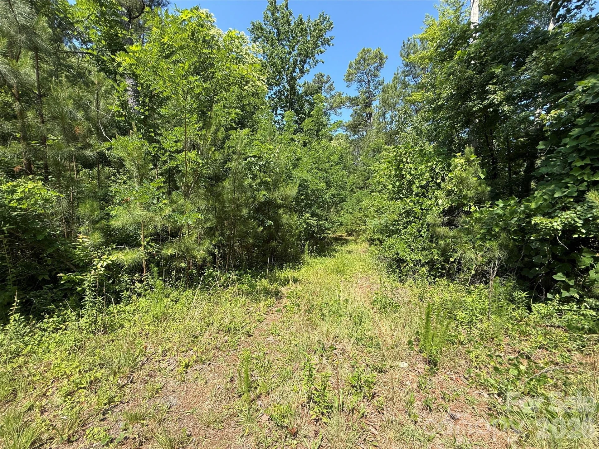 206 Corry Lane - Photo 9