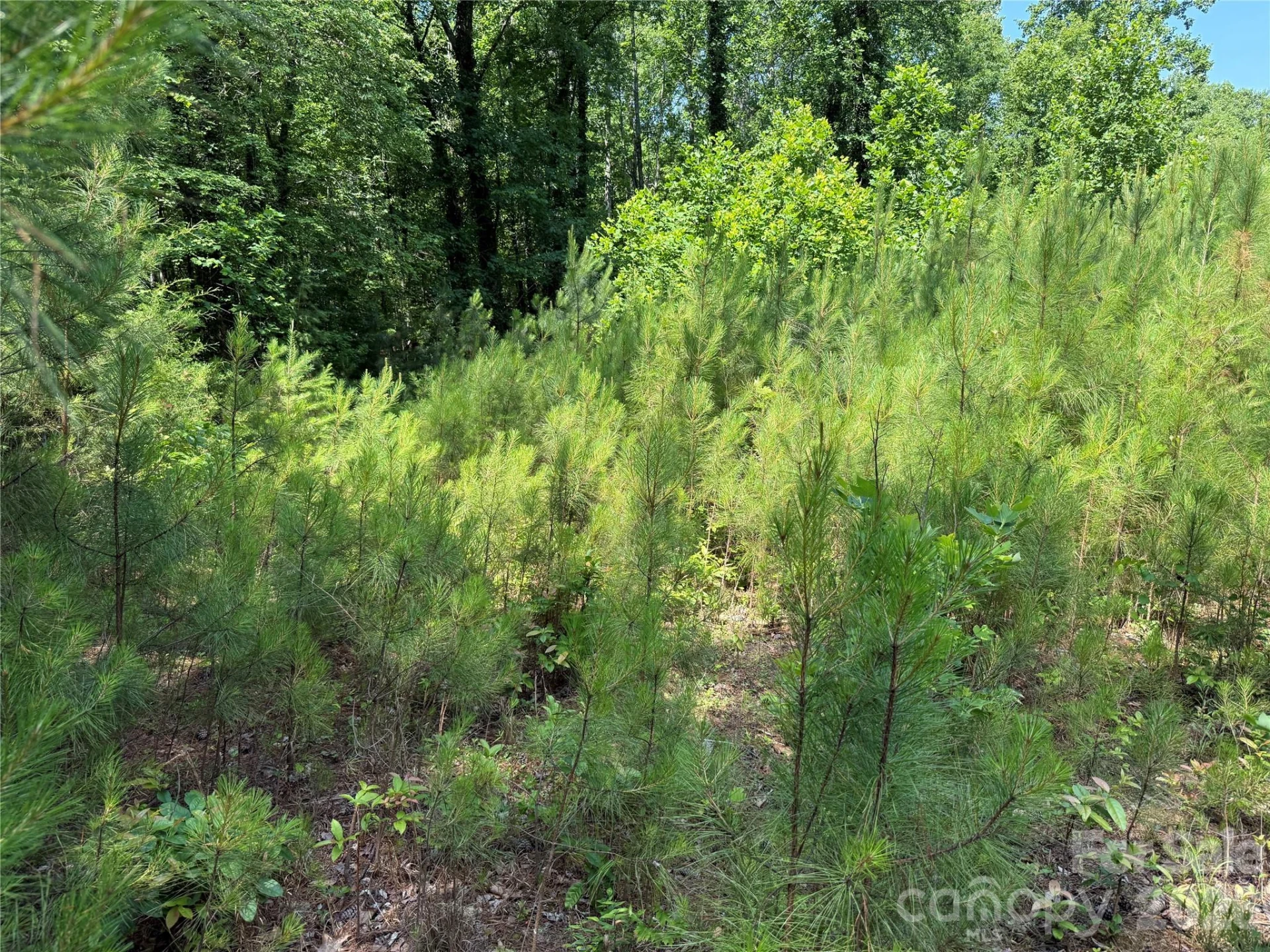 206 Corry Lane - Photo 10