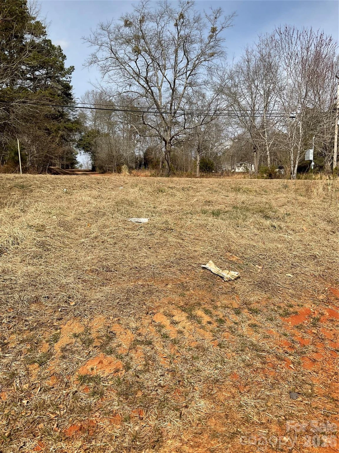 293 Pea Ridge Road - Photo 2