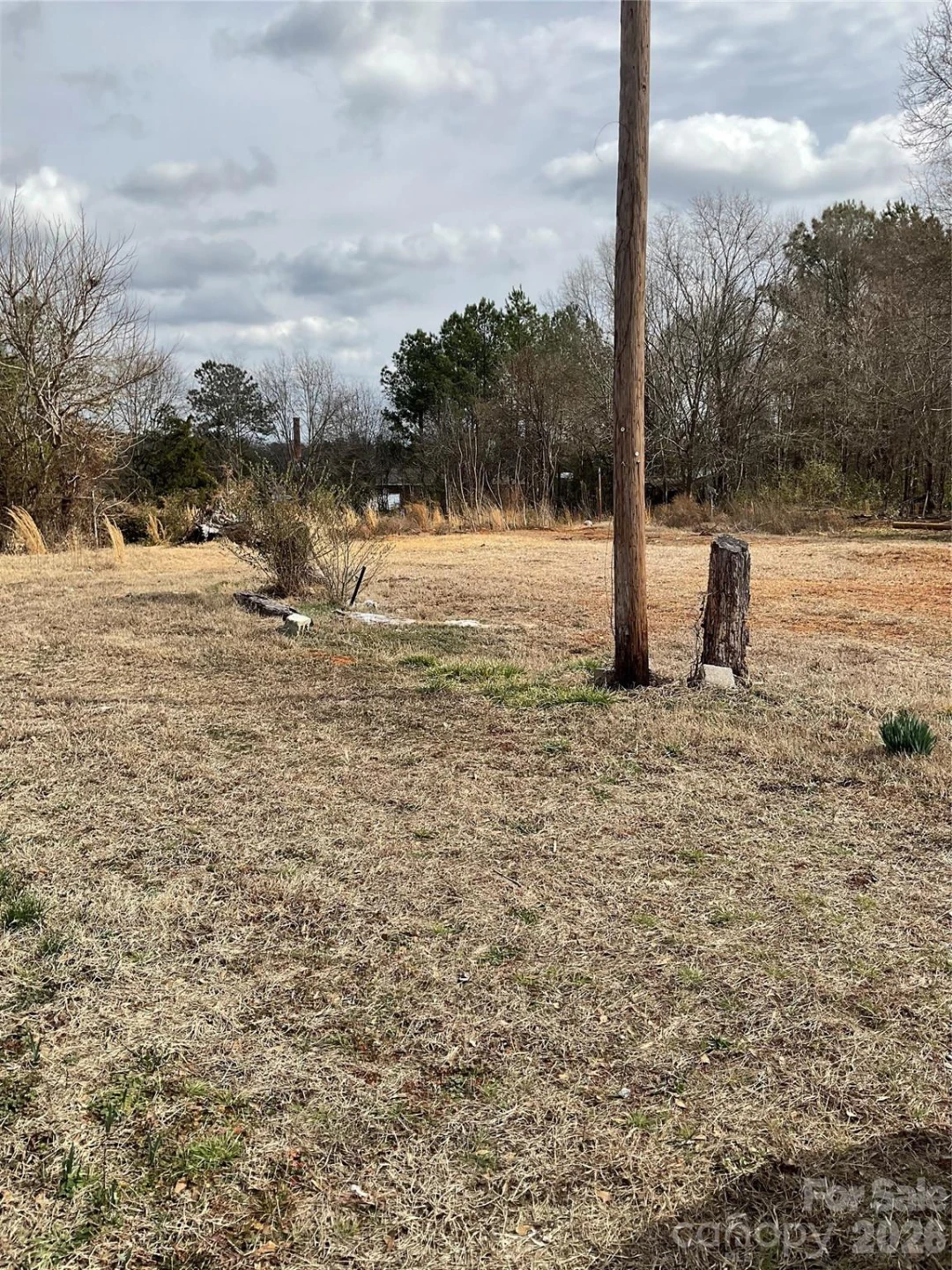 293 Pea Ridge Road - Photo 12