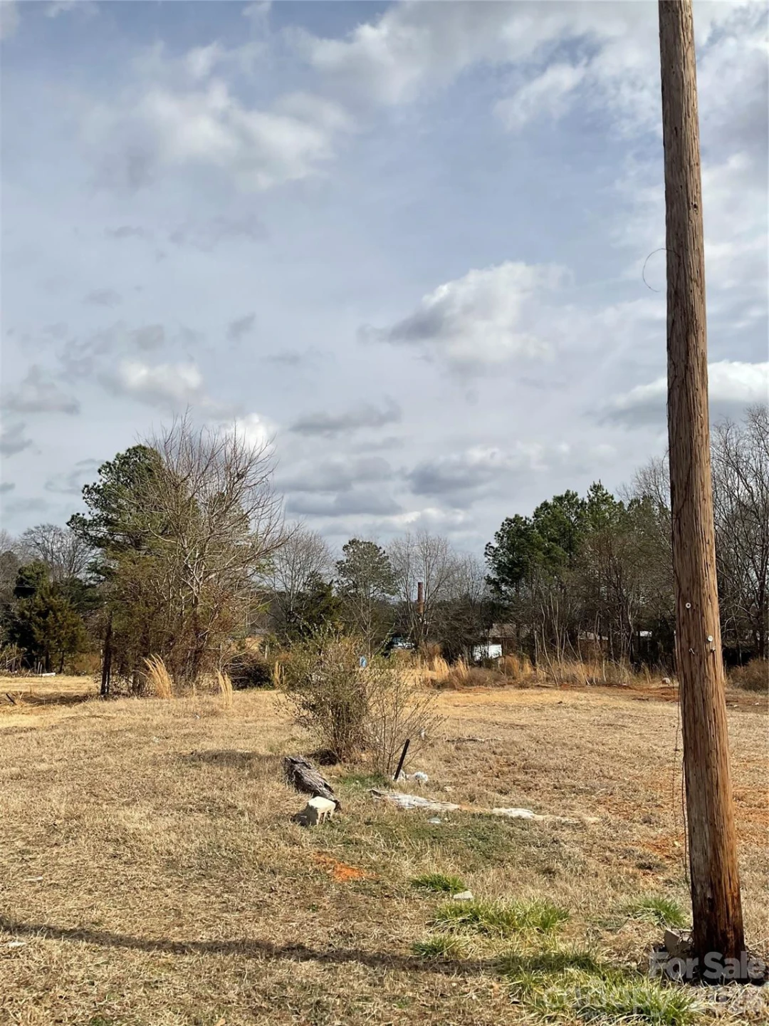 293 Pea Ridge Road - Photo 7