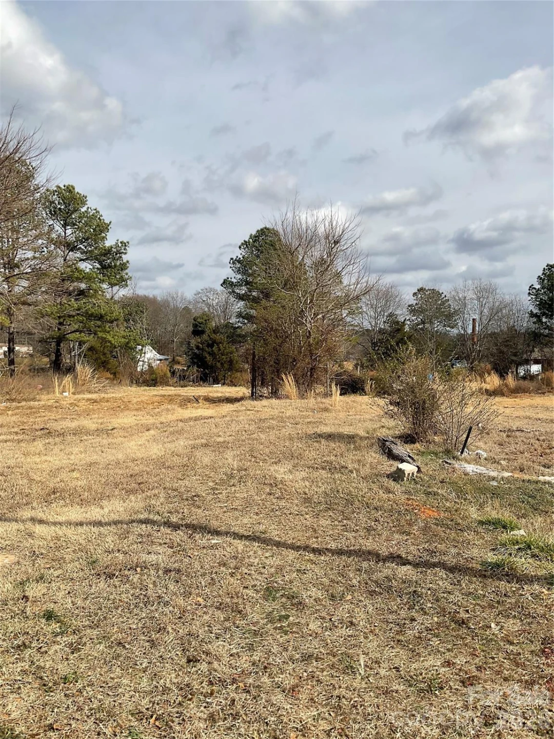 293 Pea Ridge Road - Photo 9