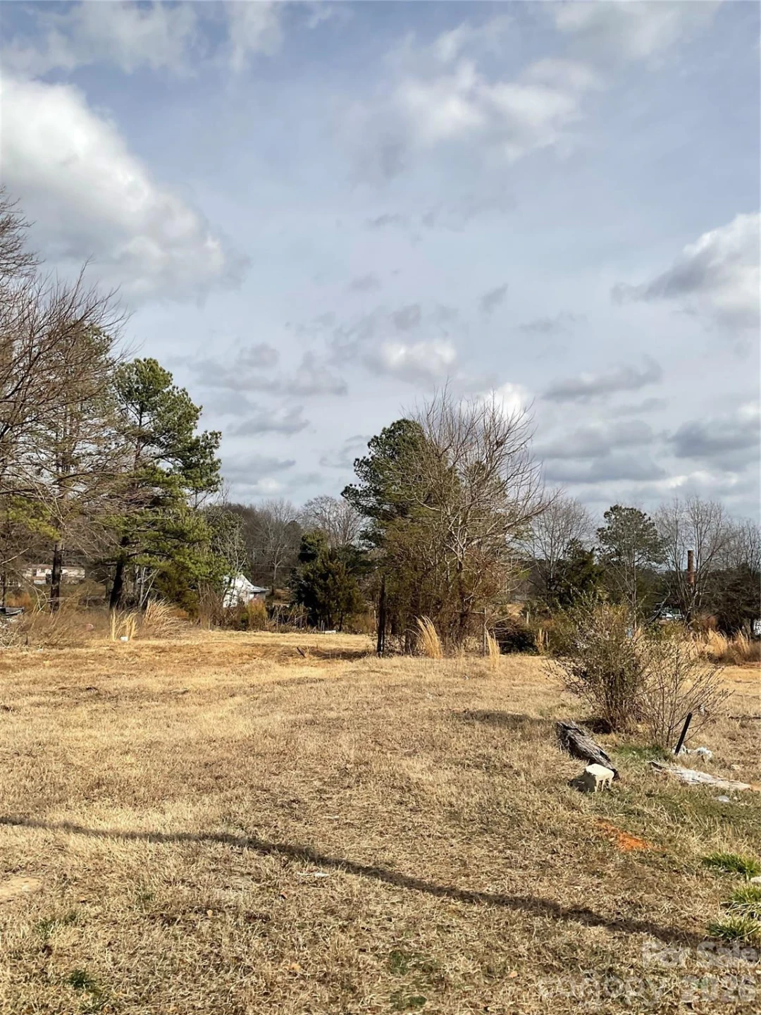 293 Pea Ridge Road - Photo 10