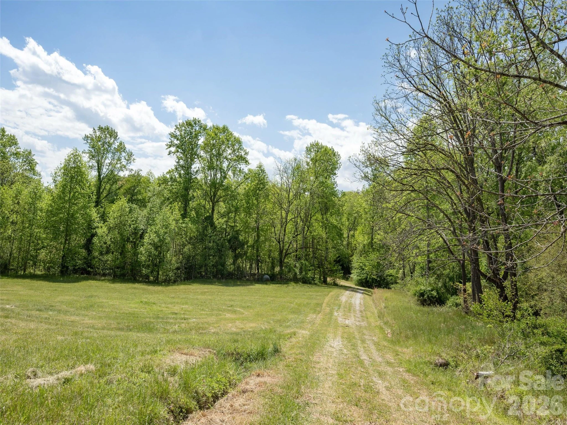 285 Mt Gilead Church Road - Photo 19