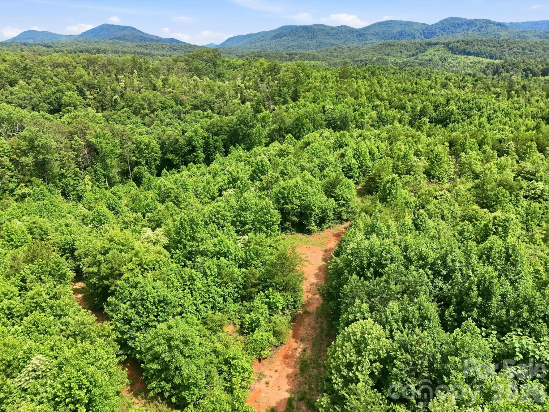2301 Parker Padgett Road - Photo 12