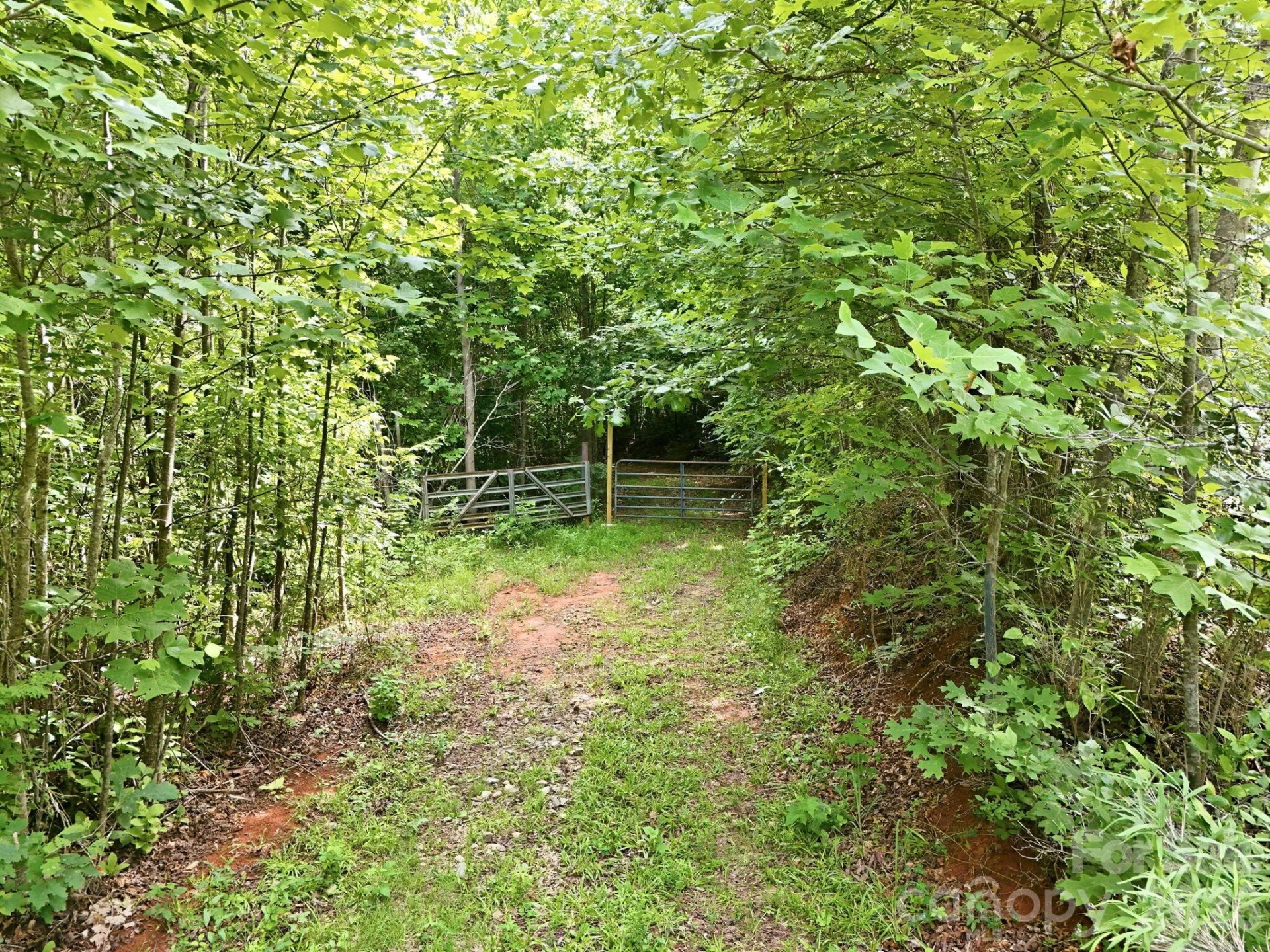 2301 Parker Padgett Road - Photo 14