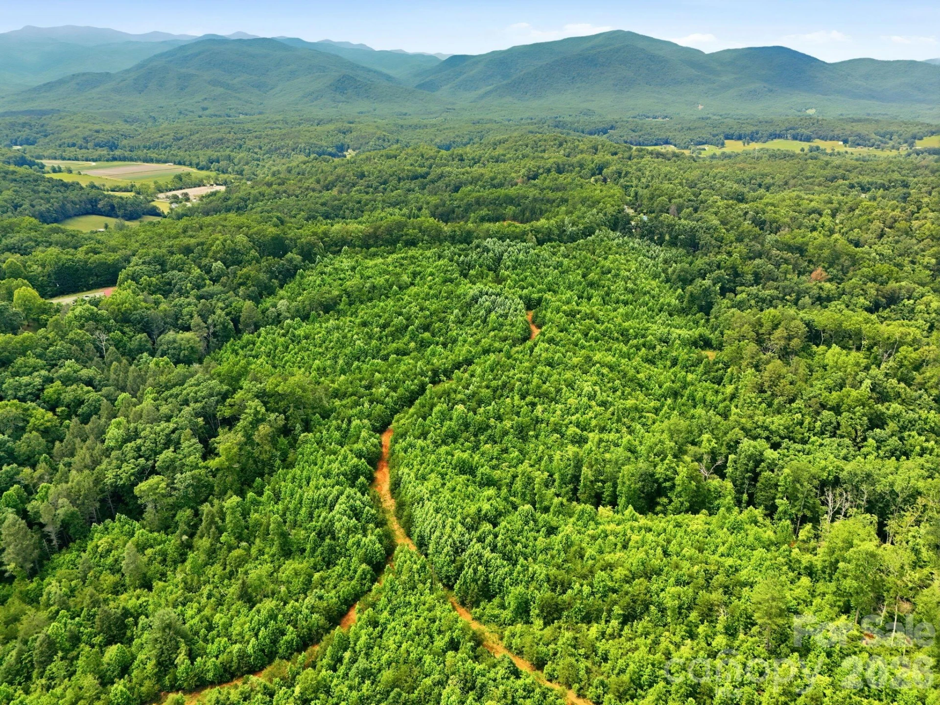 2301 Parker Padgett Road - Photo 4