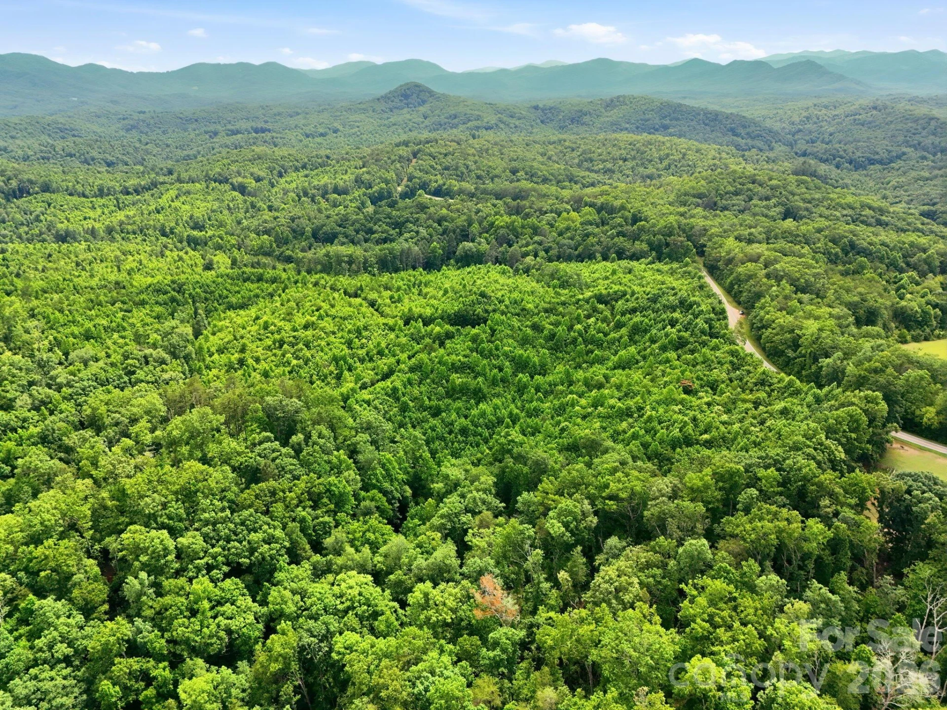 2301 Parker Padgett Road - Photo 5