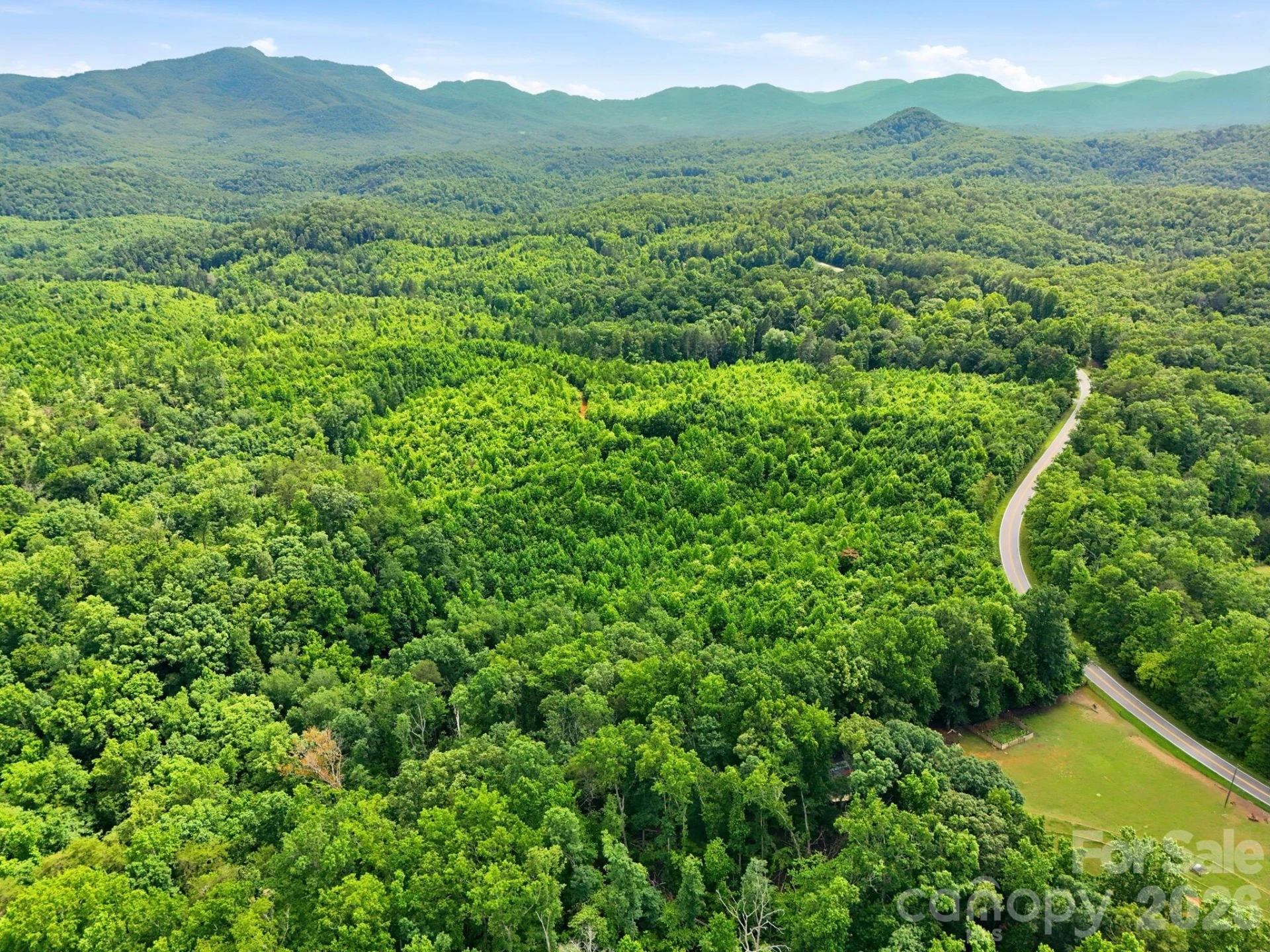 2301 Parker Padgett Road - Photo 6
