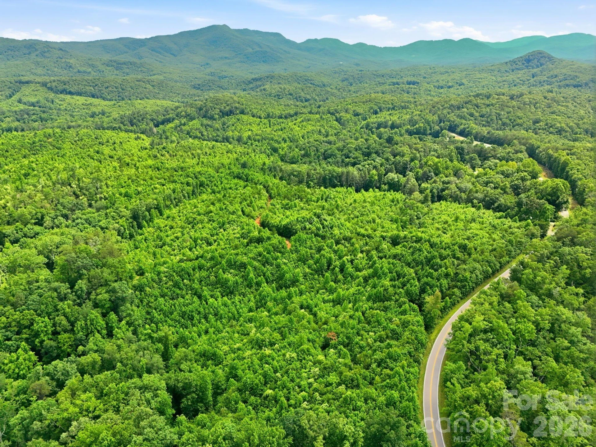 2301 Parker Padgett Road - Photo 7